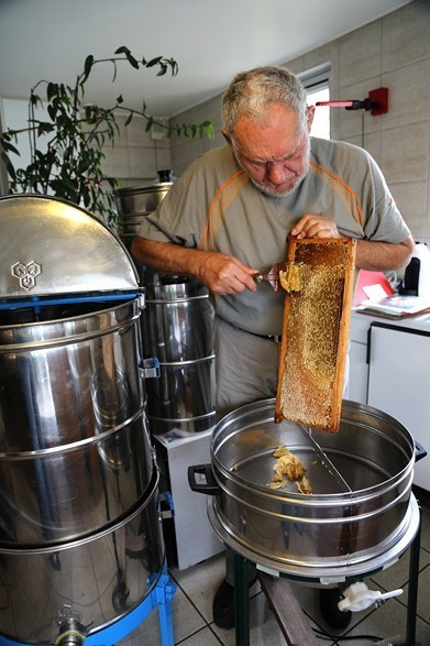 Les abeilles de Paris. Natalia Bogdanovska. Films et photographie corporate en France