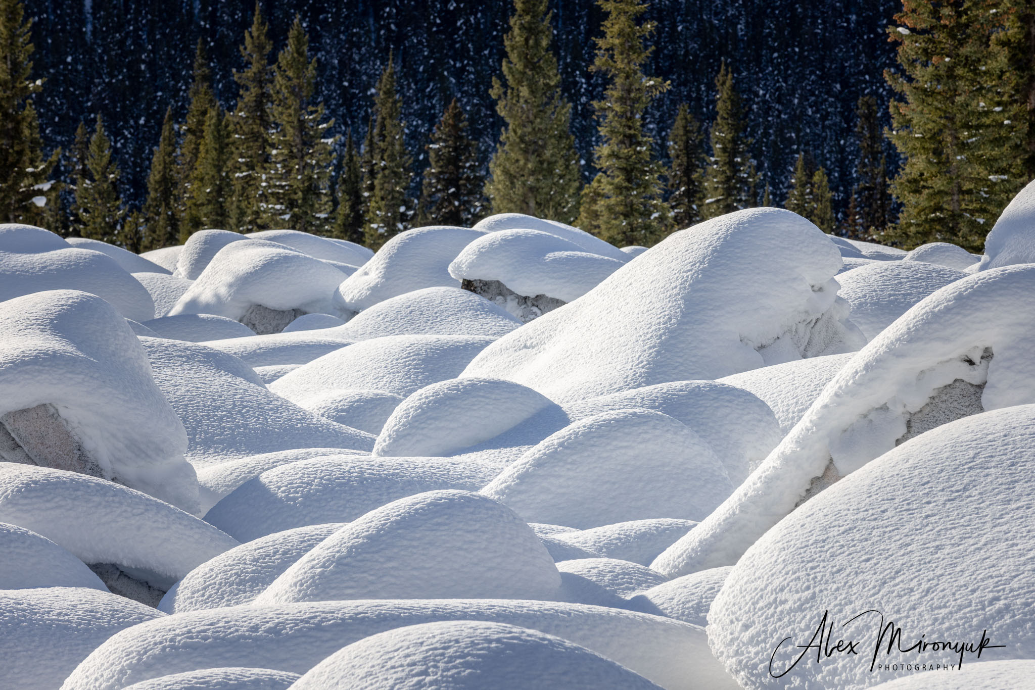 Photographing Winter Wonderland — Canada. Alex Mironyuk Photography