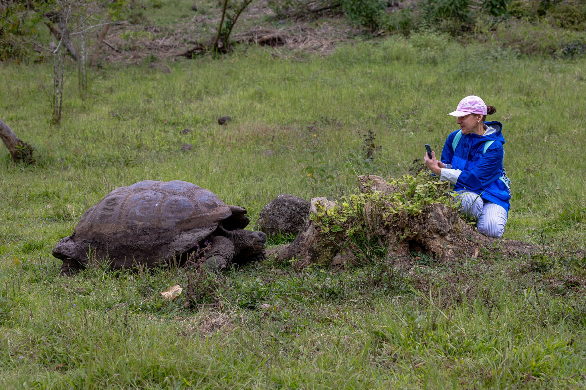 Galapagos Islands Adventure. Pet, Senior, Landscape, portrait studio, photographer in Miami and Sou