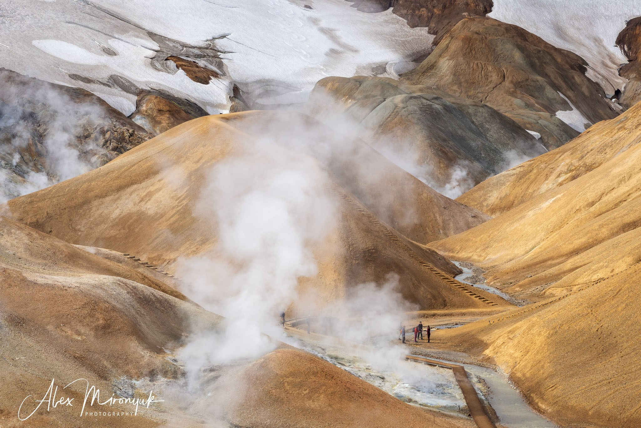 Unforgettable Iceland. Pet, Senior, Landscape, portrait studio, photographer in Miami and Sou