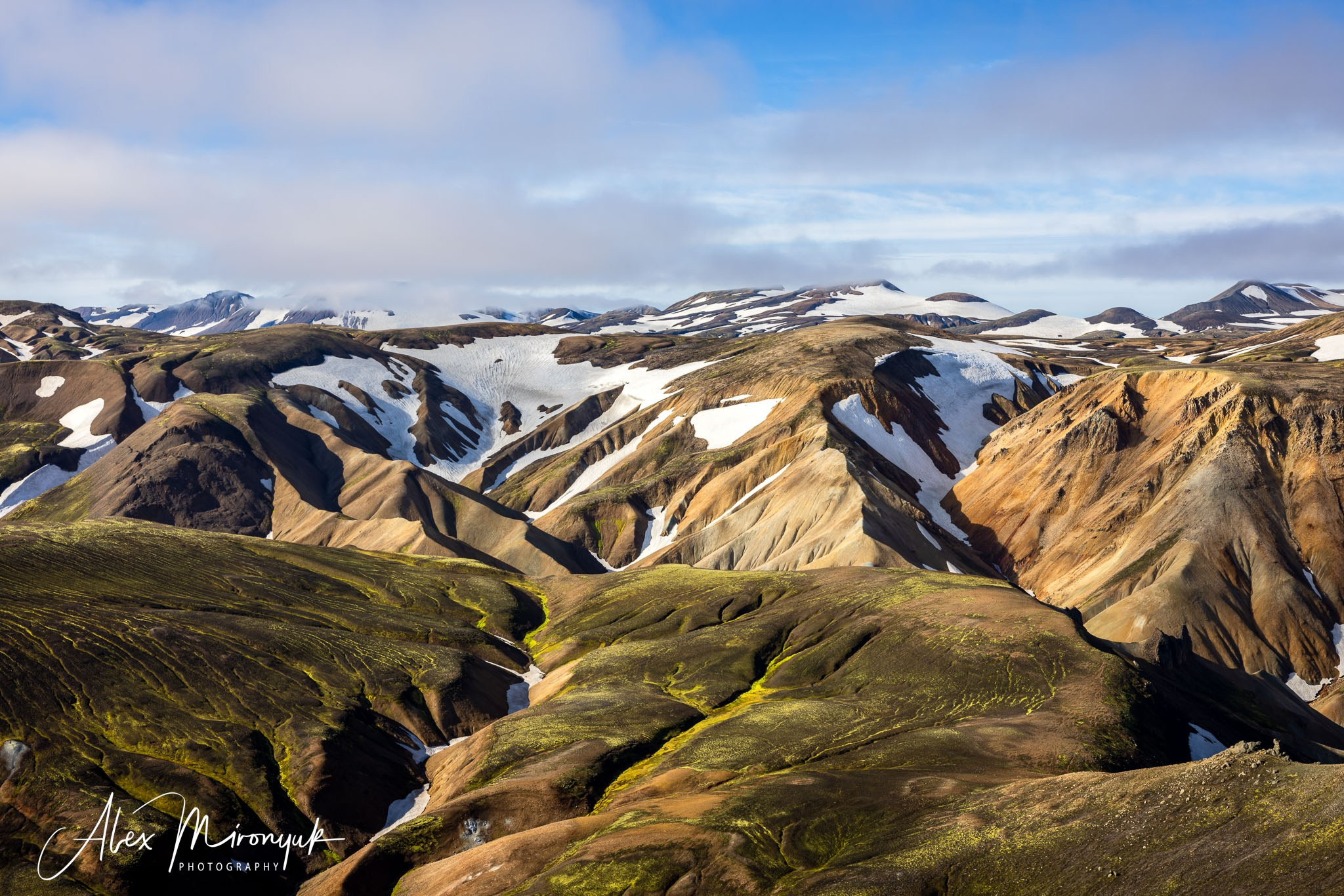 Unforgettable Iceland. Pet, Senior, Landscape, portrait studio, photographer in Miami and Sou