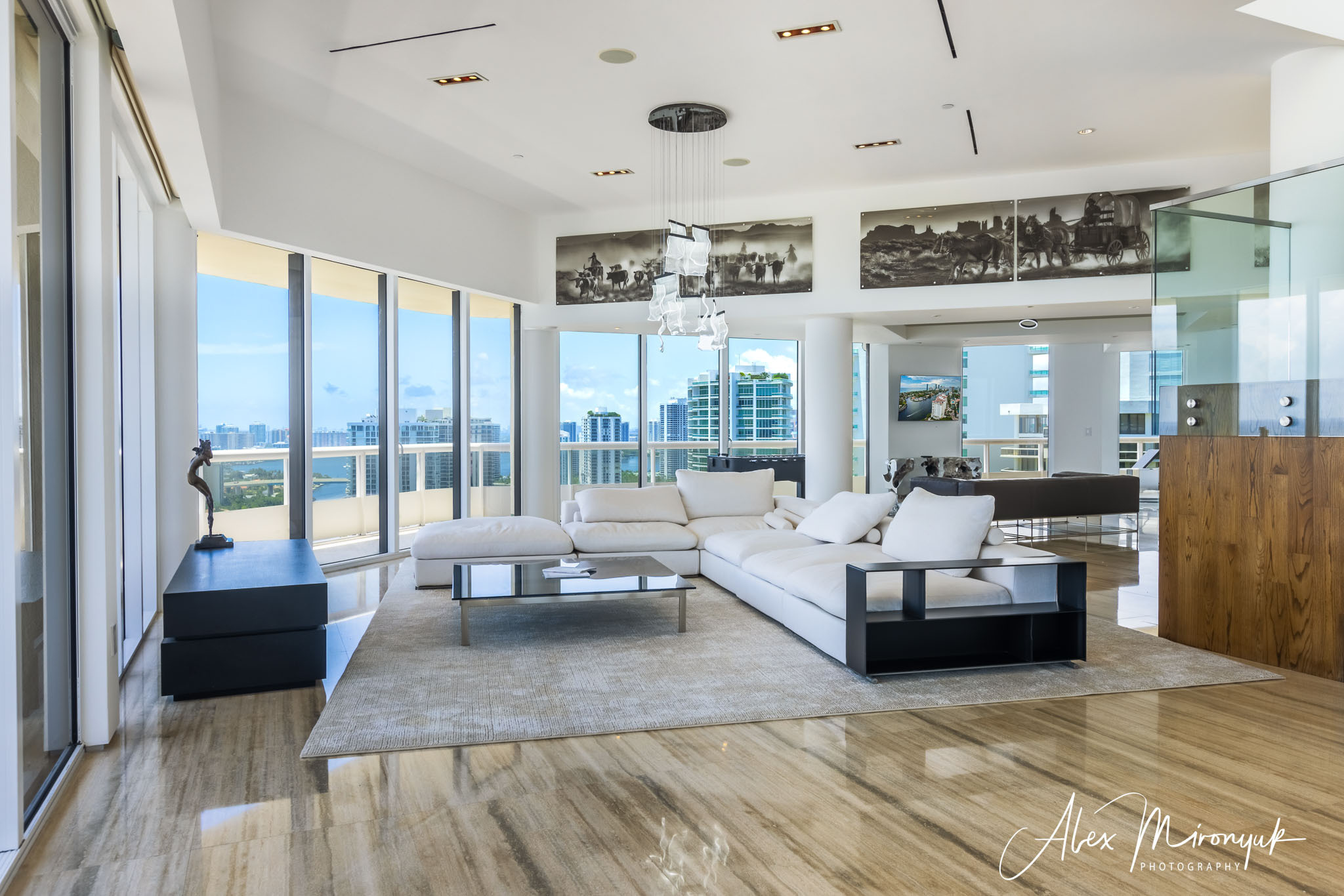 Real Estate Drone Photography. Pet, Senior, Landscape, portrait studio, photographer in Miami and Sou