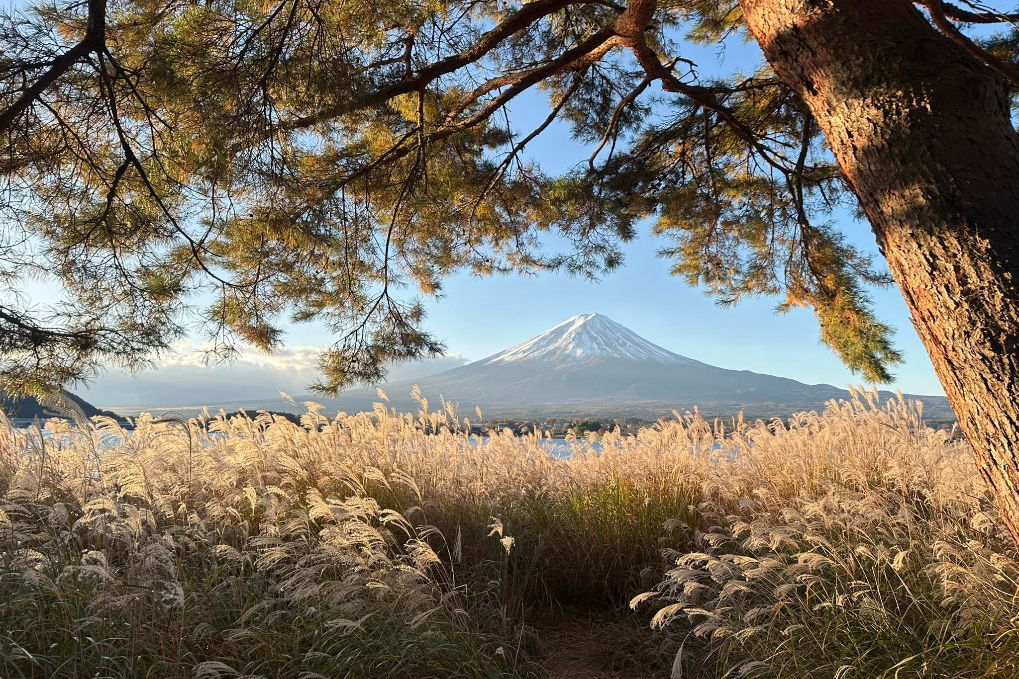 Киносеанс в Школе Фотографии Романа Рыбалёва. Школа Фотографии Романа Рыбалёва. Город Кишинёв, Молдова