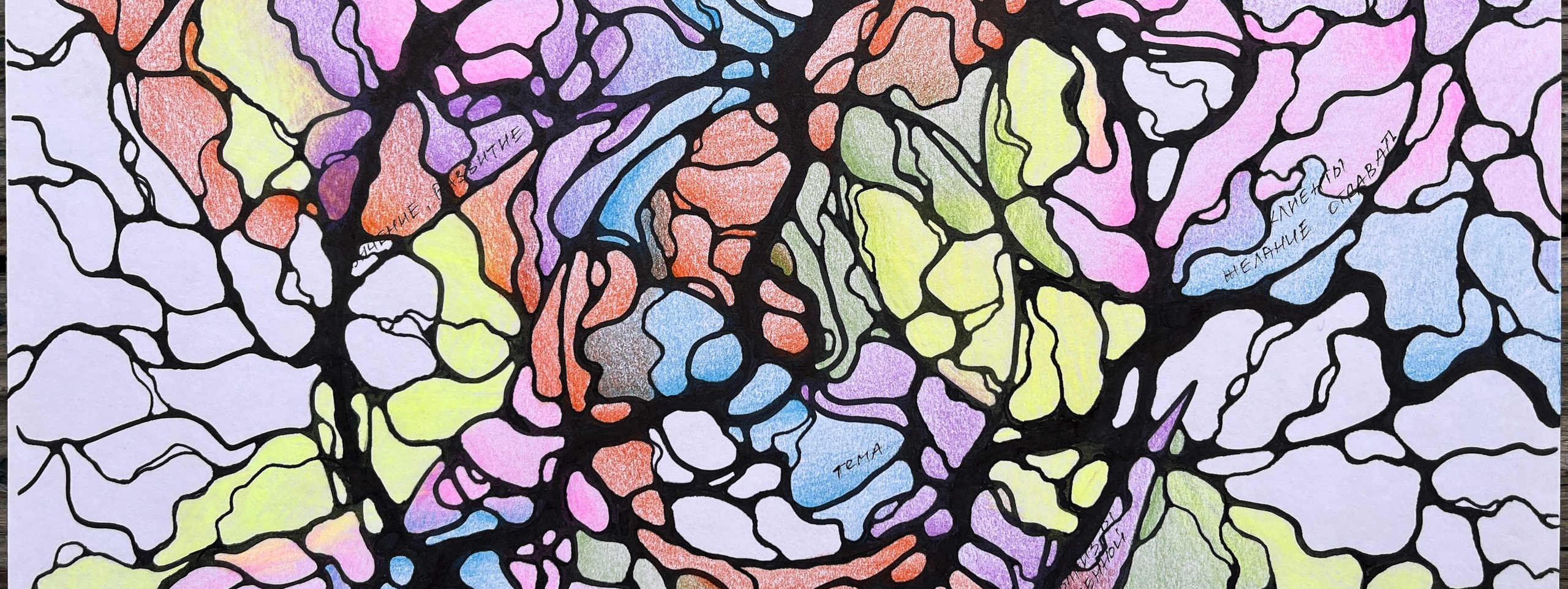 Nevrografika. Numerologija. Nevrografika. Delavnice