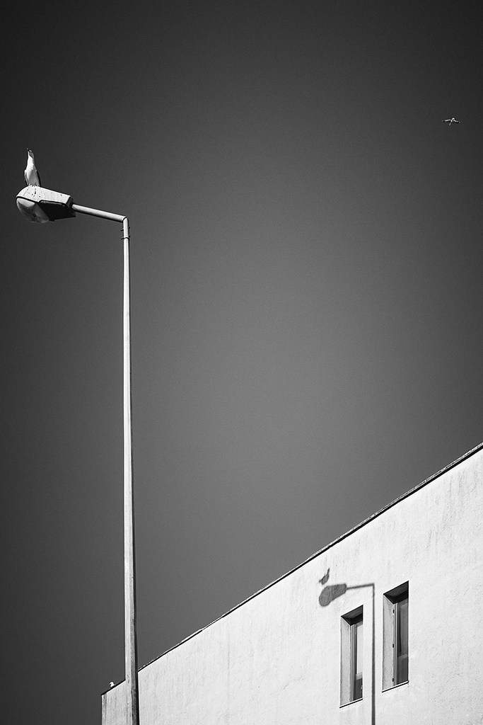 Photography by Mircea Maieru