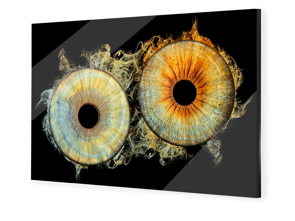 Prices. Hi, my name is Eric T and I am Iris photographer