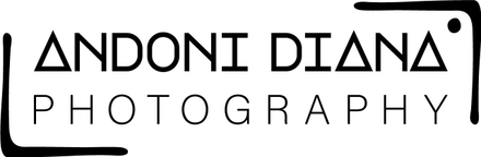 andonidianaphotography.com