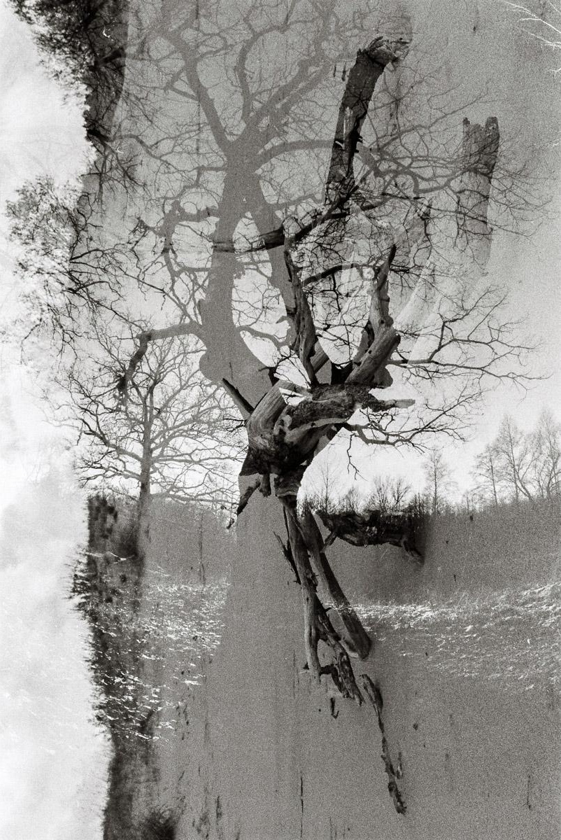 «ОСТАВЛЕННЫЙ» — город Припять после аварии на Чернобыле. Фотограф, коллекционер винтажных открыток и создатель историй на пересечении прошлого и личного. Ирина Дайнакова