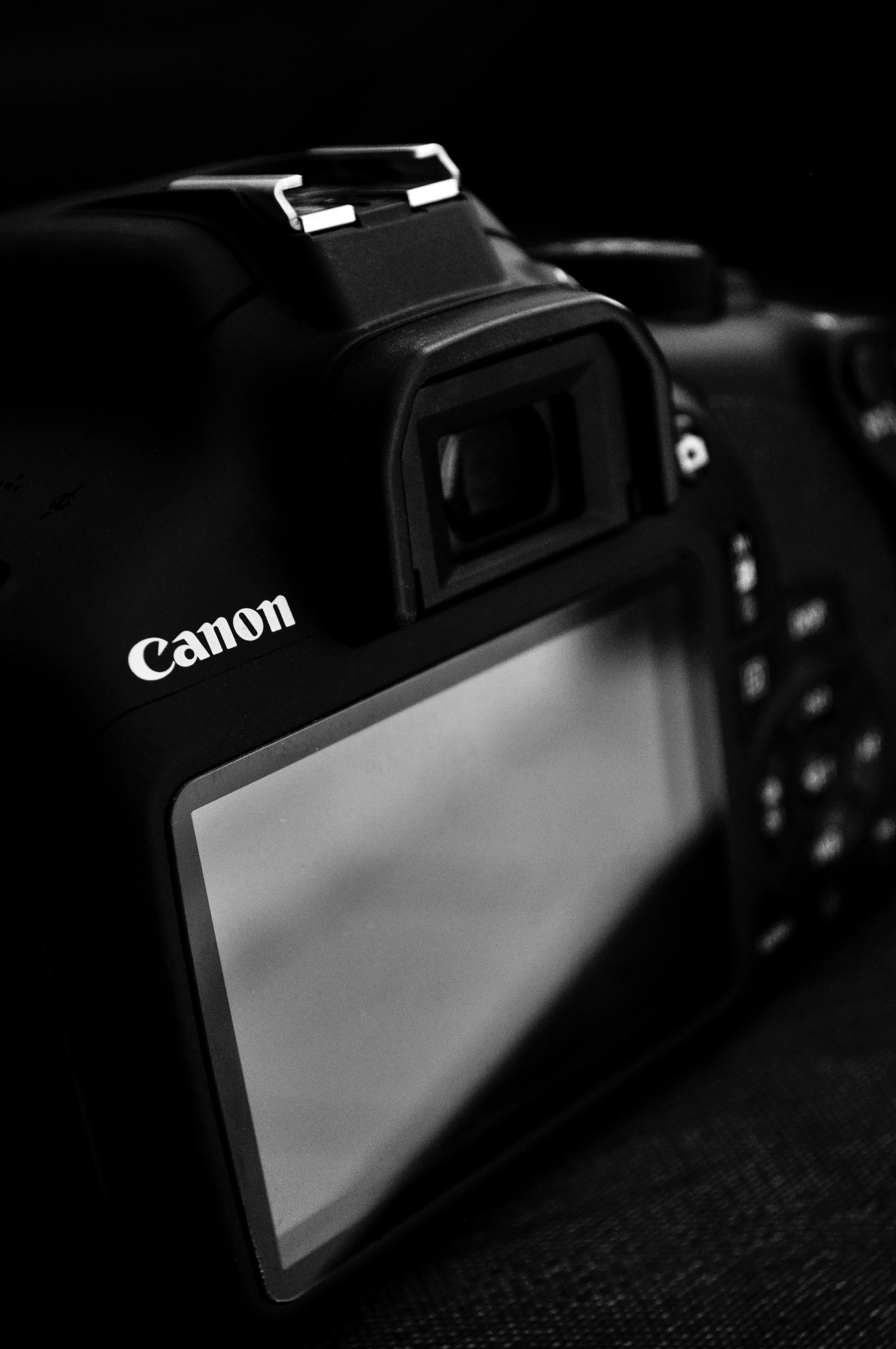 Irene Schwarz Photographer in Prague