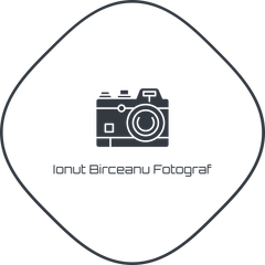ionutbirceanu.com