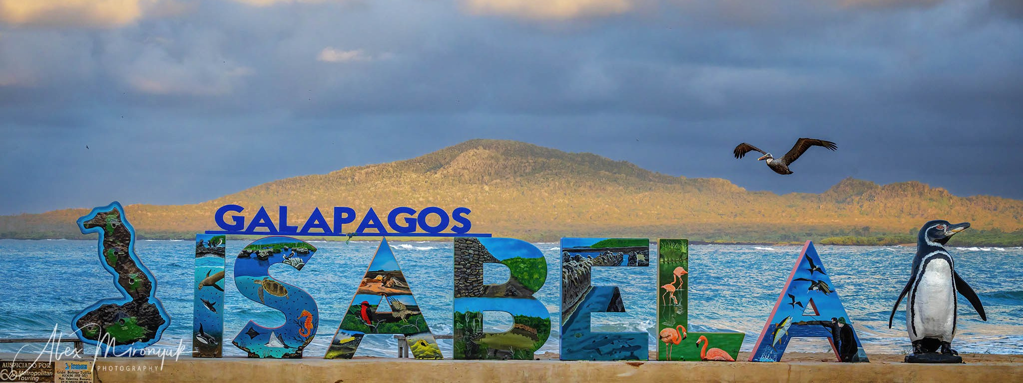 Galapagos Islands Adventure. Pet, Senior, Landscape, portrait studio, photographer in Miami and Sou