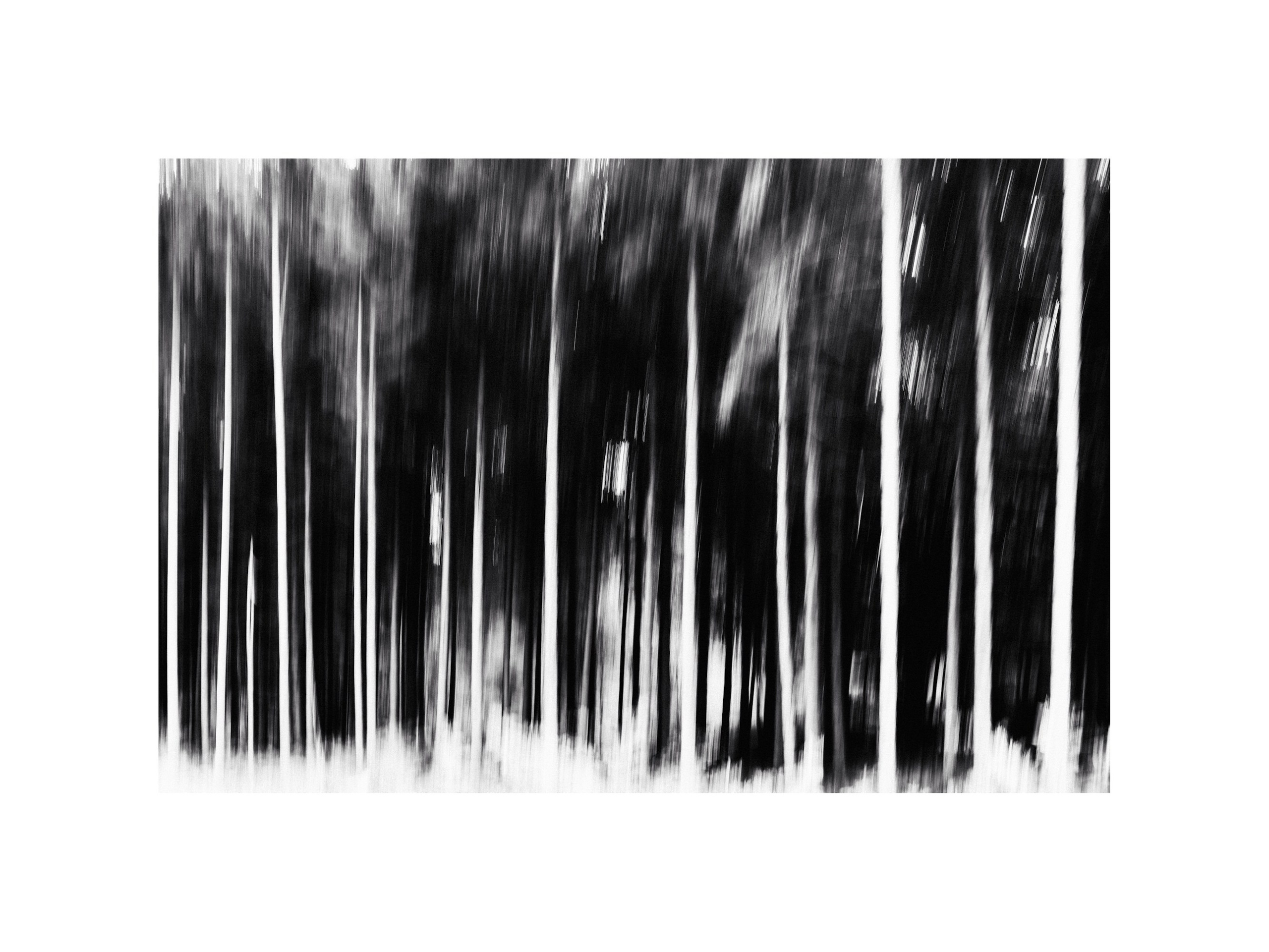 Gallery. Olga Häckel