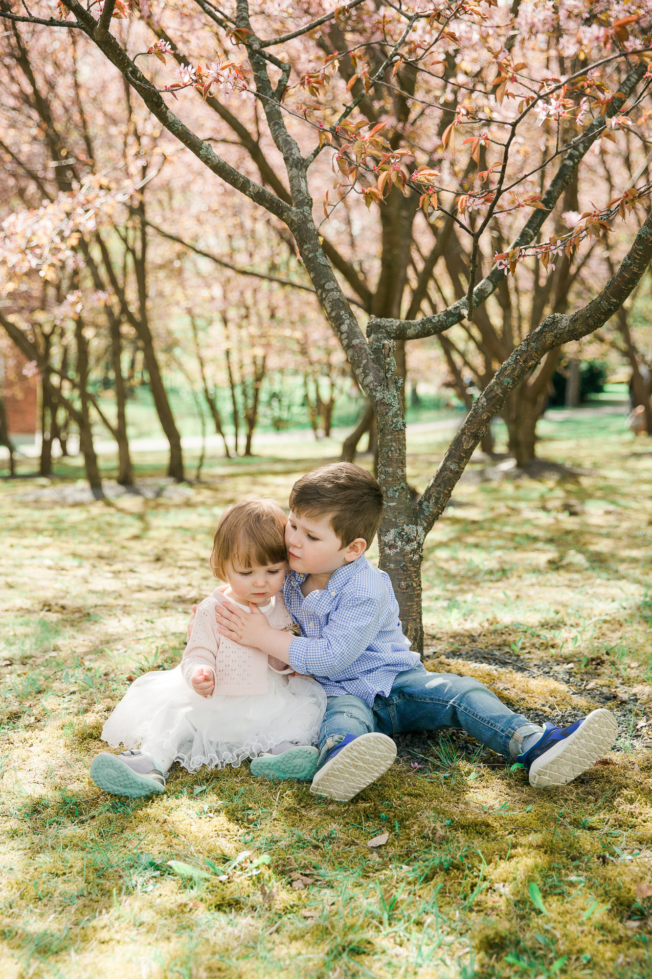 1-vuotiskuvaus Helsingin kirsikkapuistossa