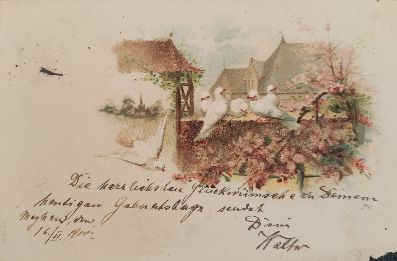 Handmade postcard art: vintage botanical. Photographer, collector of vintage postcards, and creator of stories at the intersection of the past and the personal. Irina Dainakova