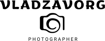 vladzavorg.com