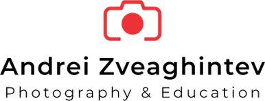 zveaghintev.com