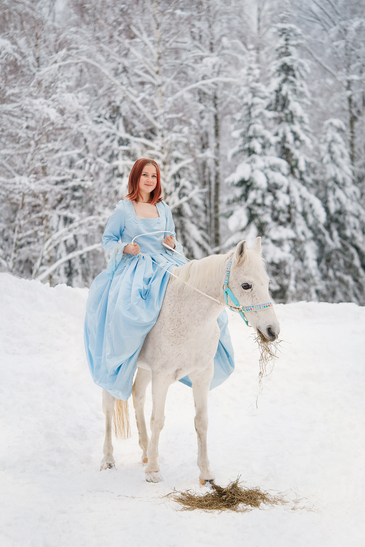 Joulukorttikuvaus 2022