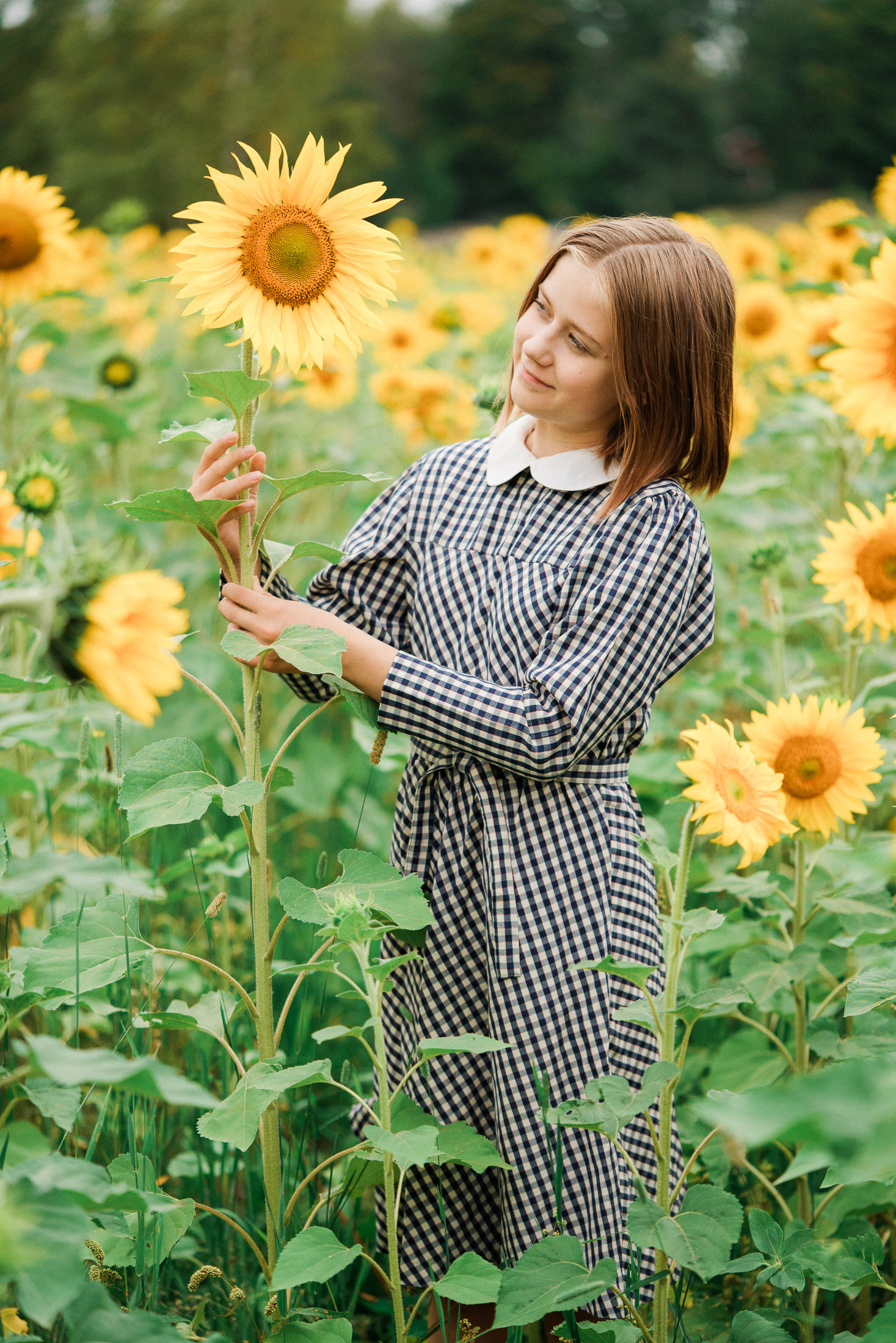 Lapsikuvaus auringonkukkapellolla