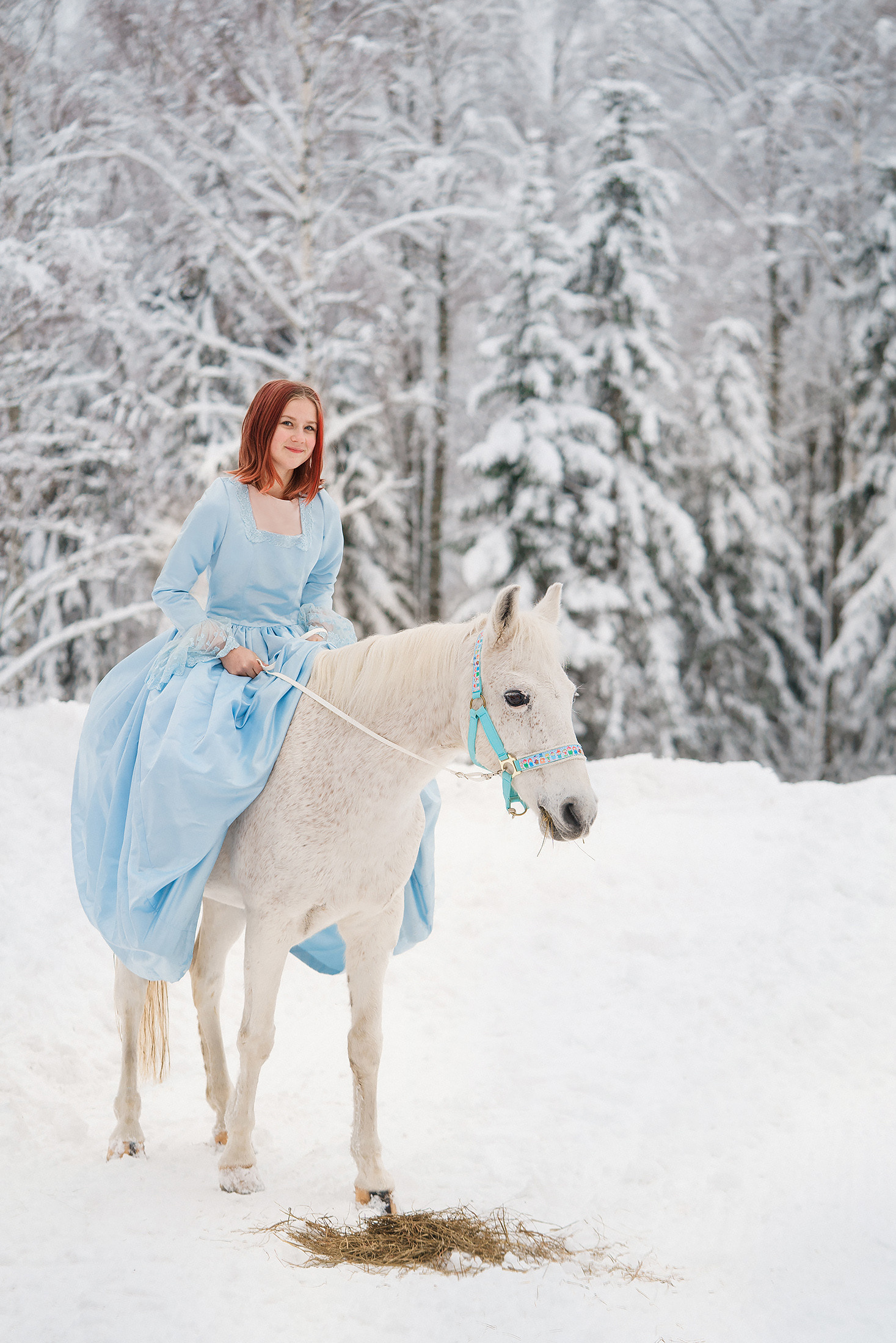 Joulukorttikuvaus 2022