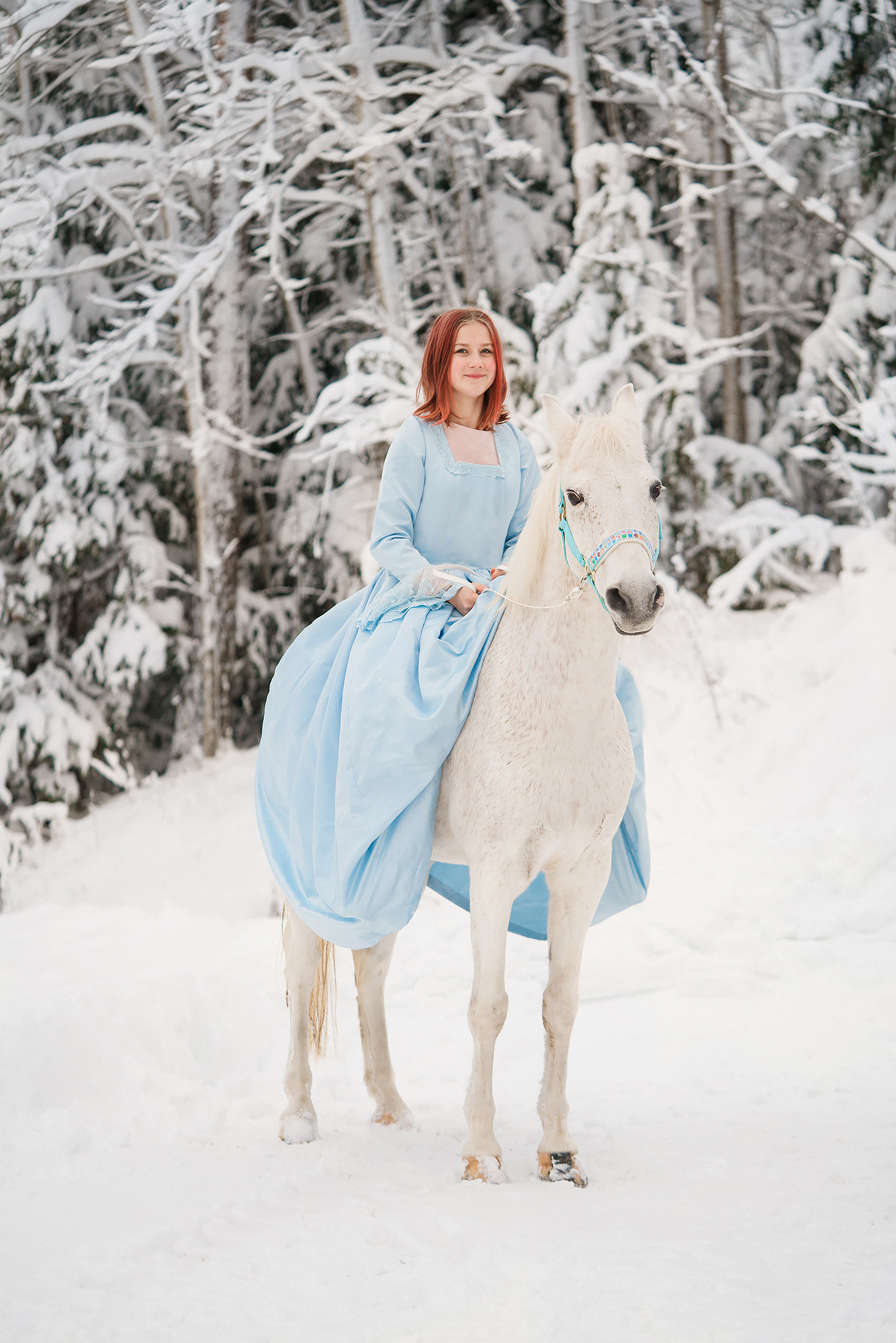 Joulukorttikuvaus 2022