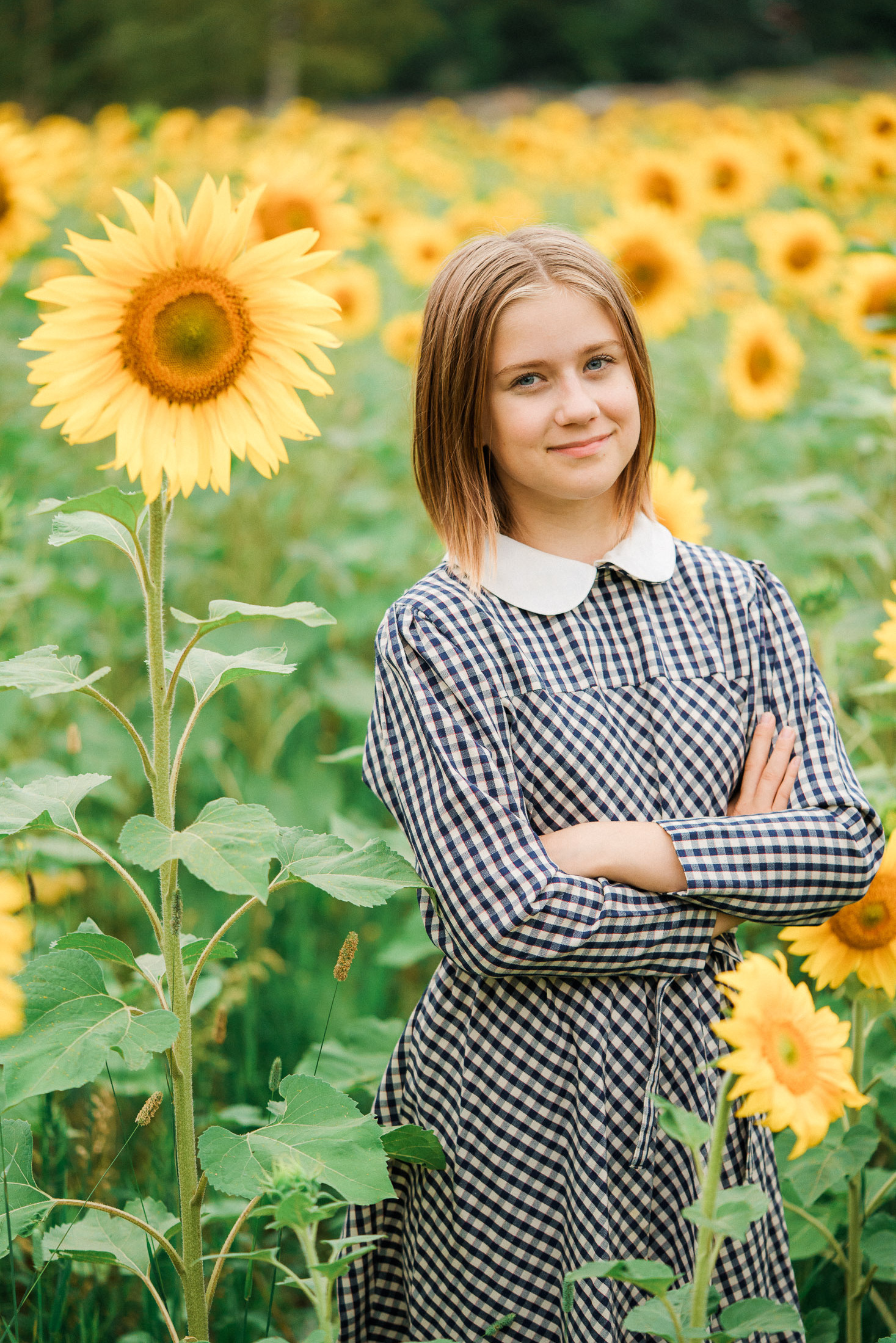 Lapsikuvaus auringonkukkapellolla