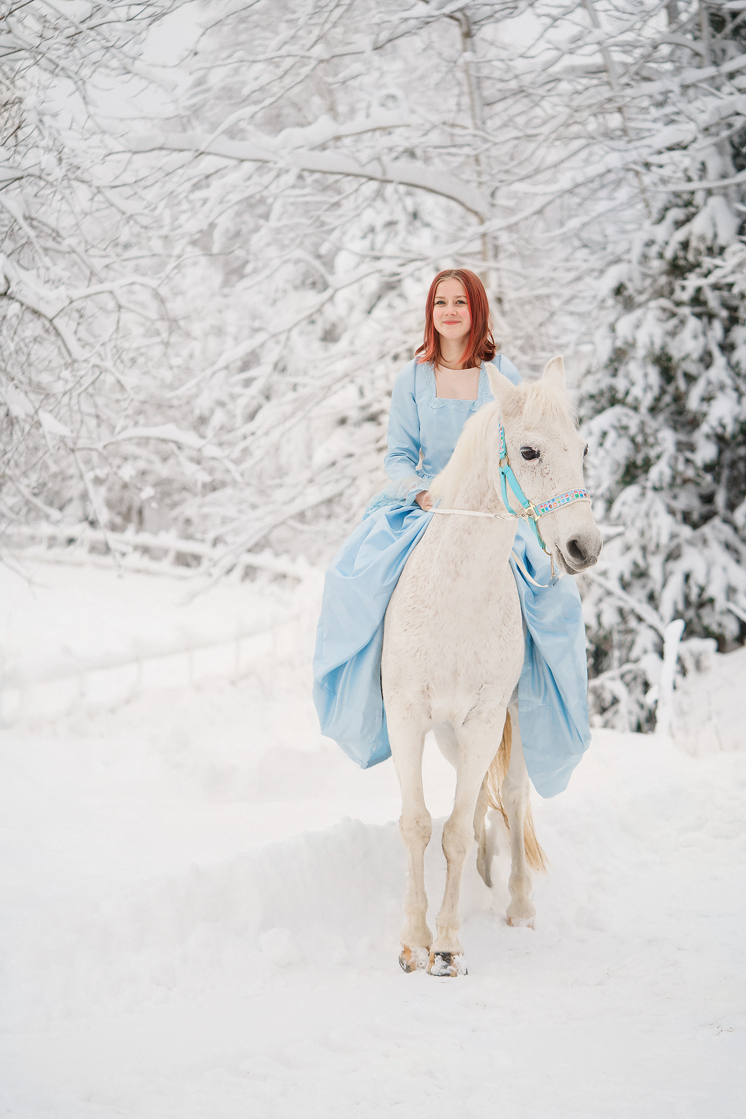 Joulukorttikuvaus 2022