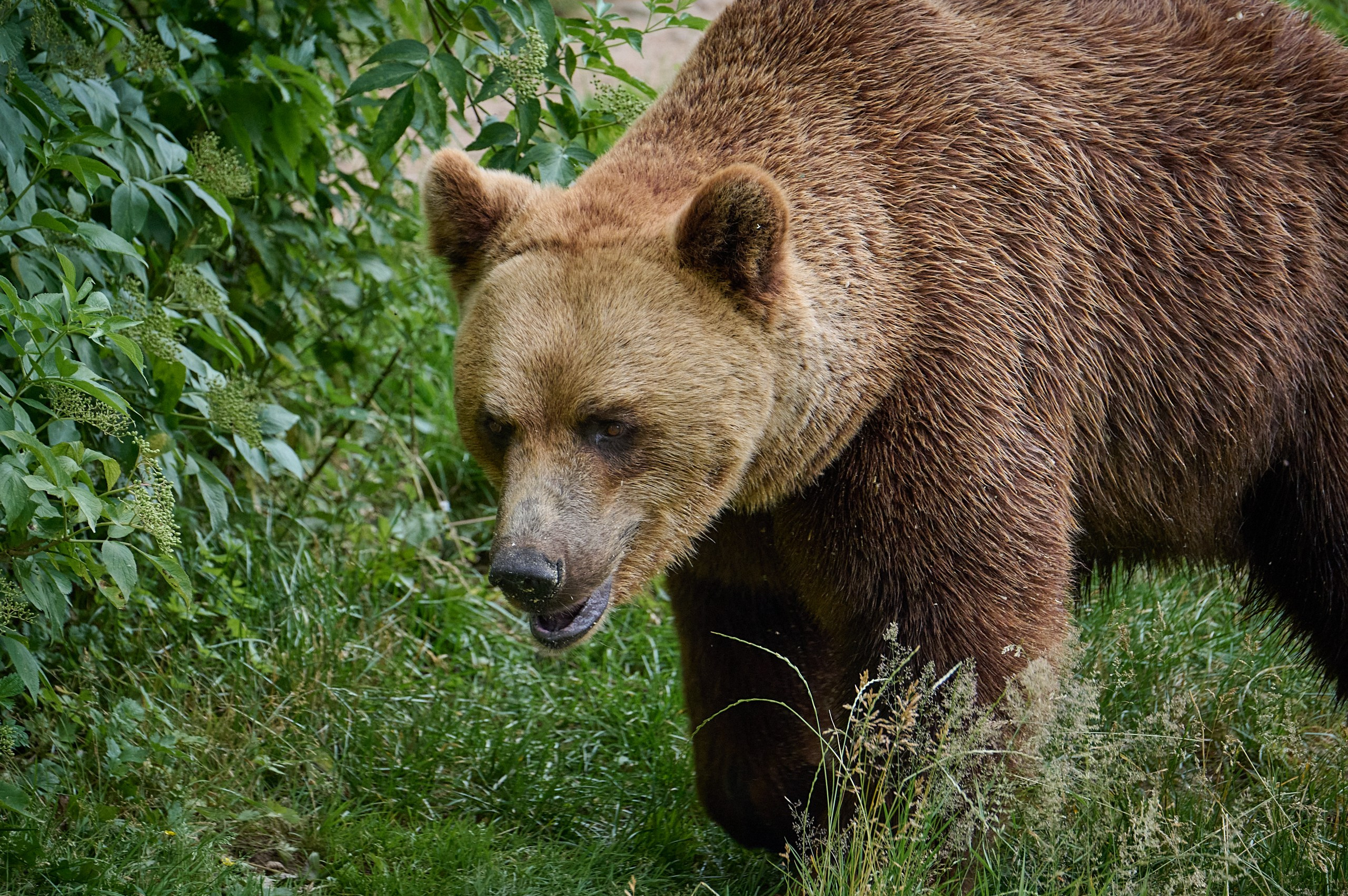 Visit Skånes Djurpark. Yuri Popkov | Photographer
