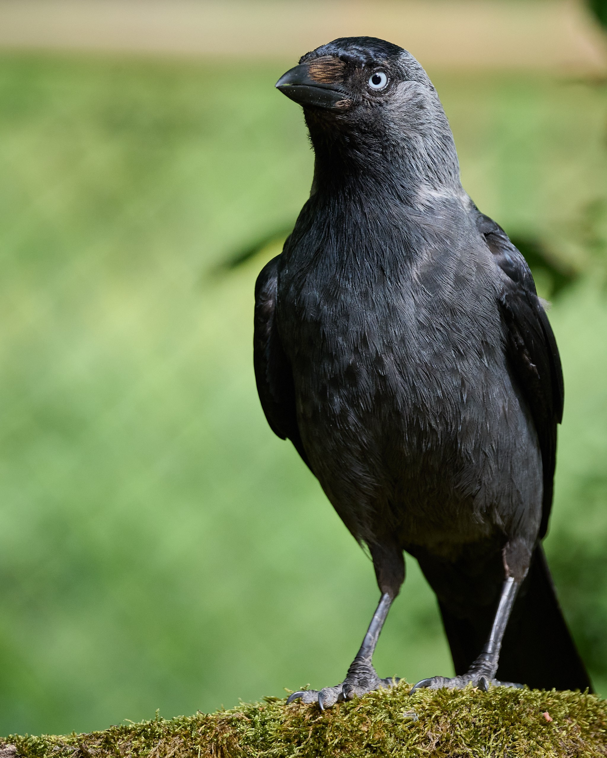 Visit Skånes Djurpark. Yuri Popkov | Photographer