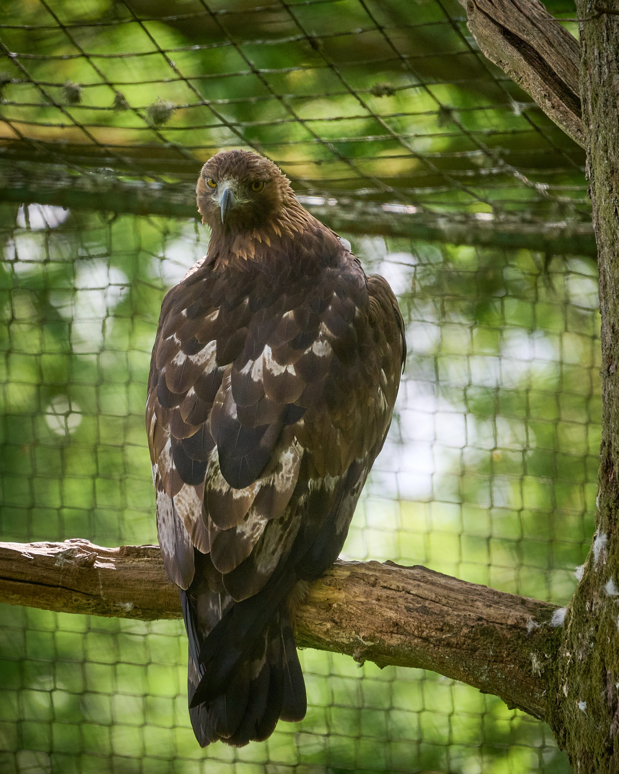 Visit Skånes Djurpark. Yuri Popkov | Photographer