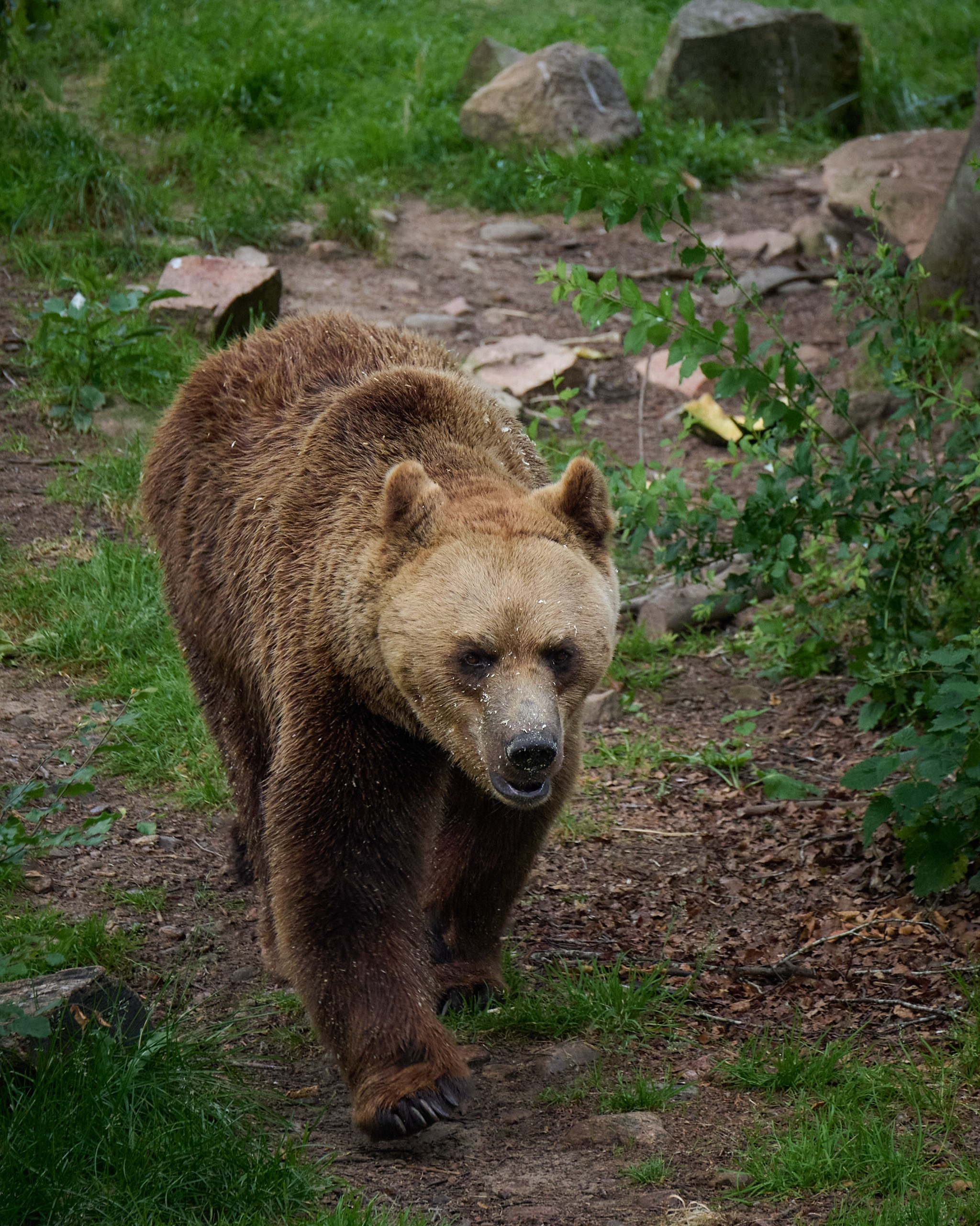 Visit Skånes Djurpark. Yuri Popkov | Photographer