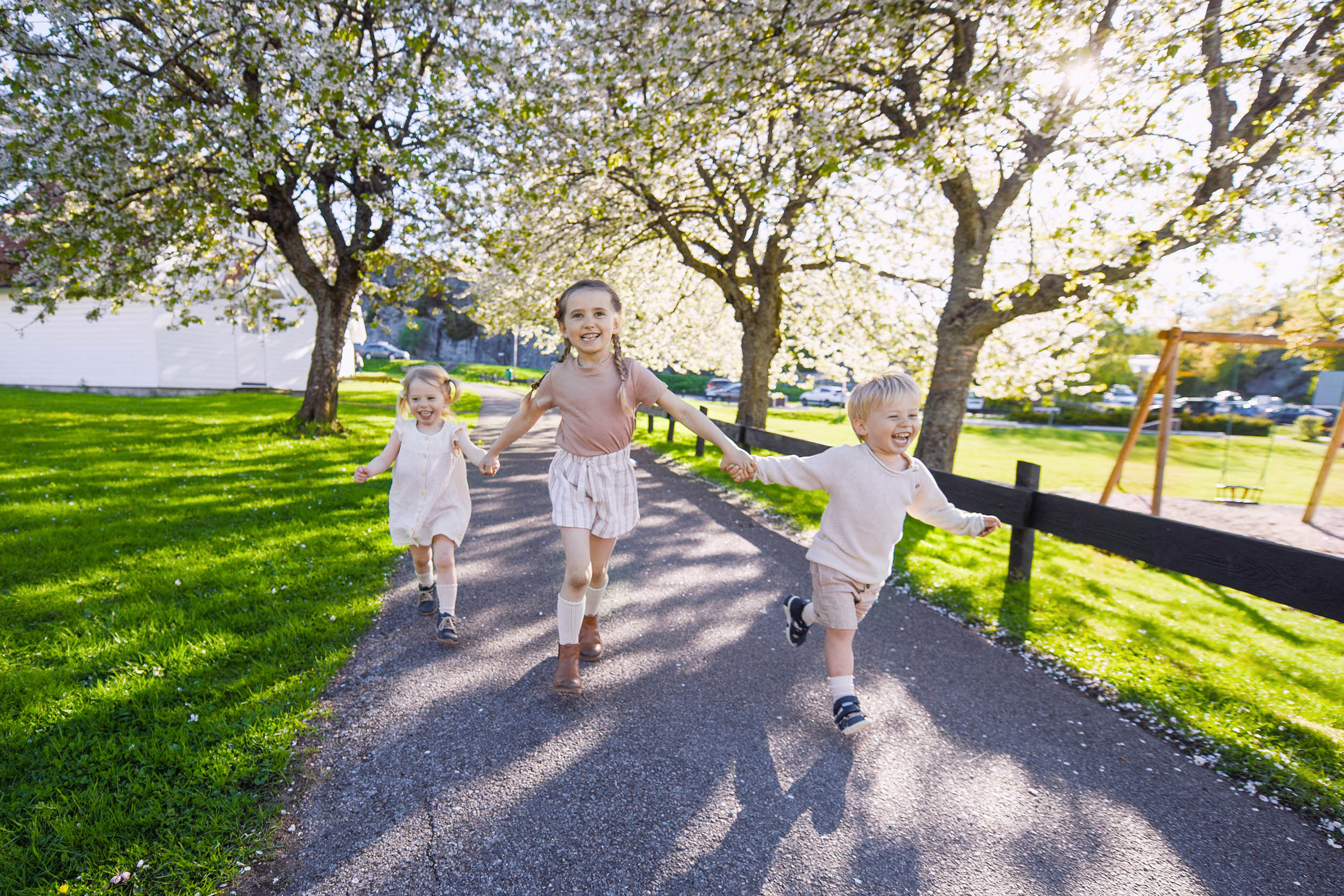 Viki + 3🐒🐒🐒