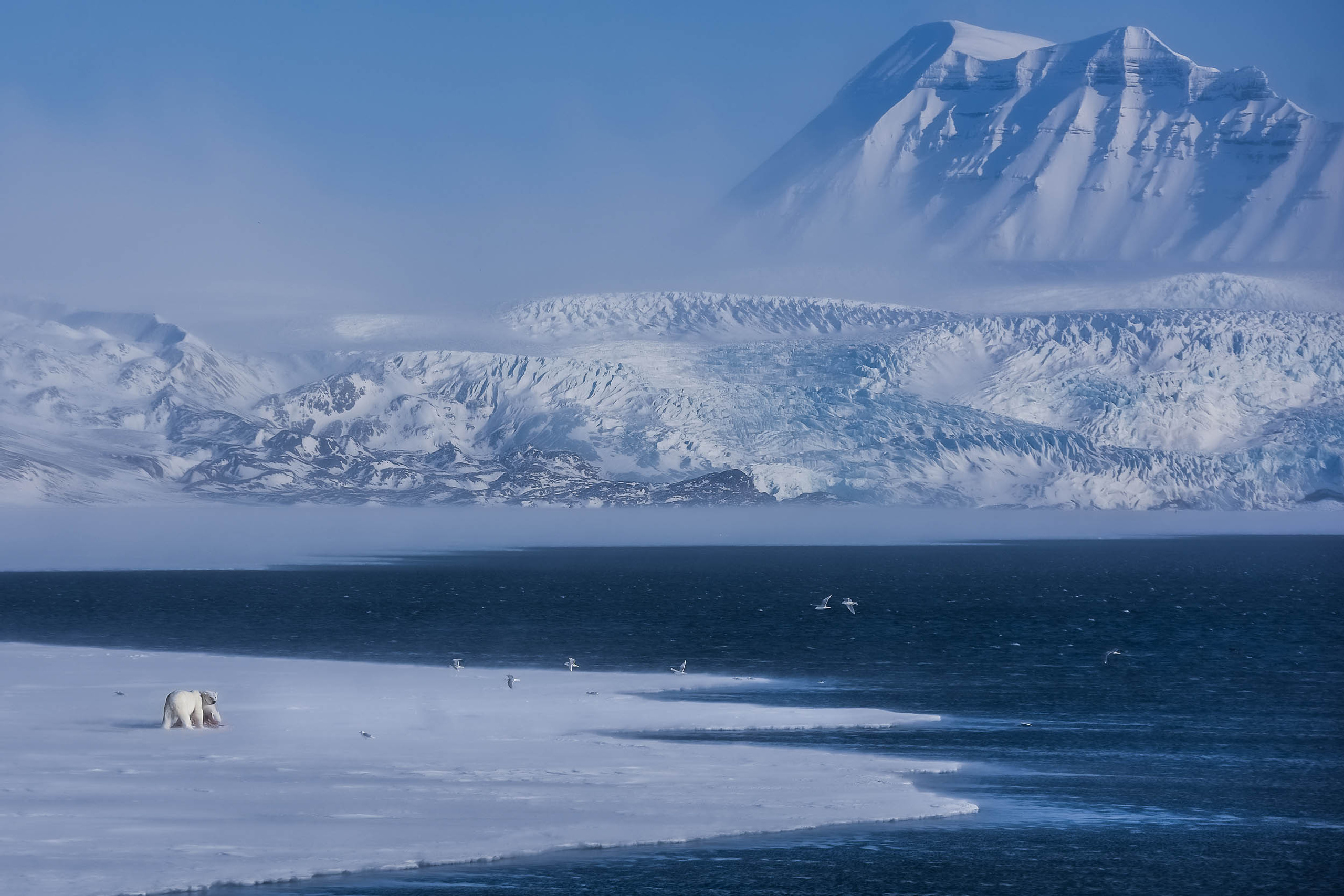 Svalbard. Winter. Day