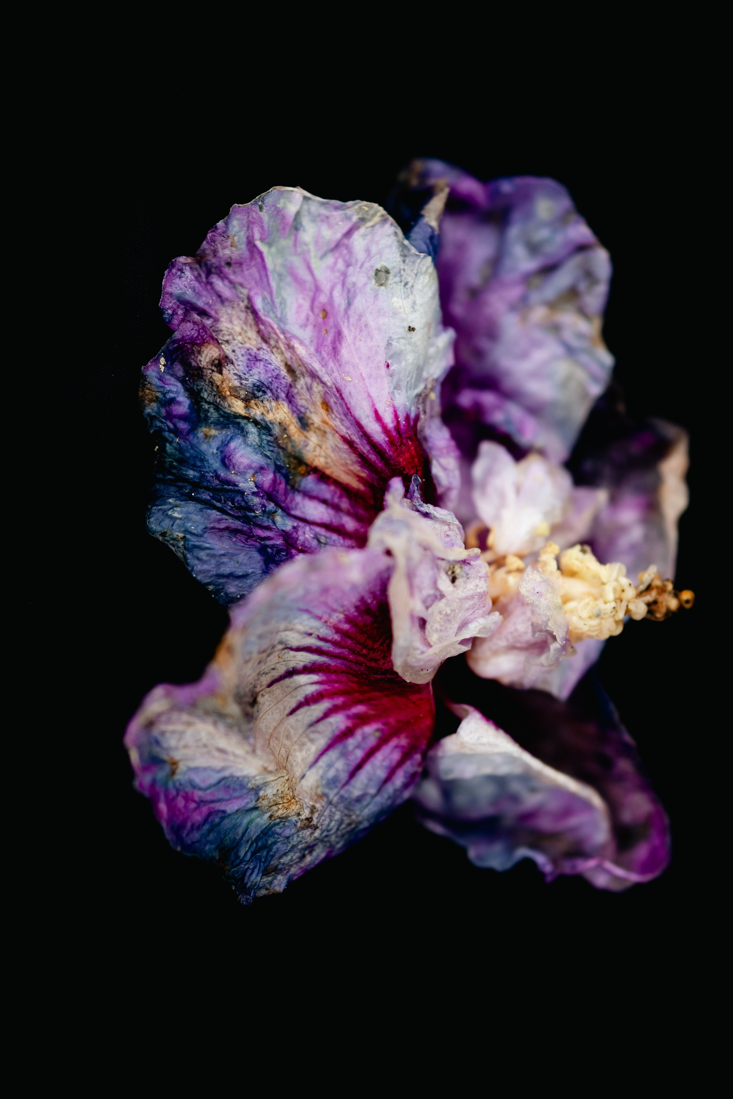 Projects & Stories. Look Around You