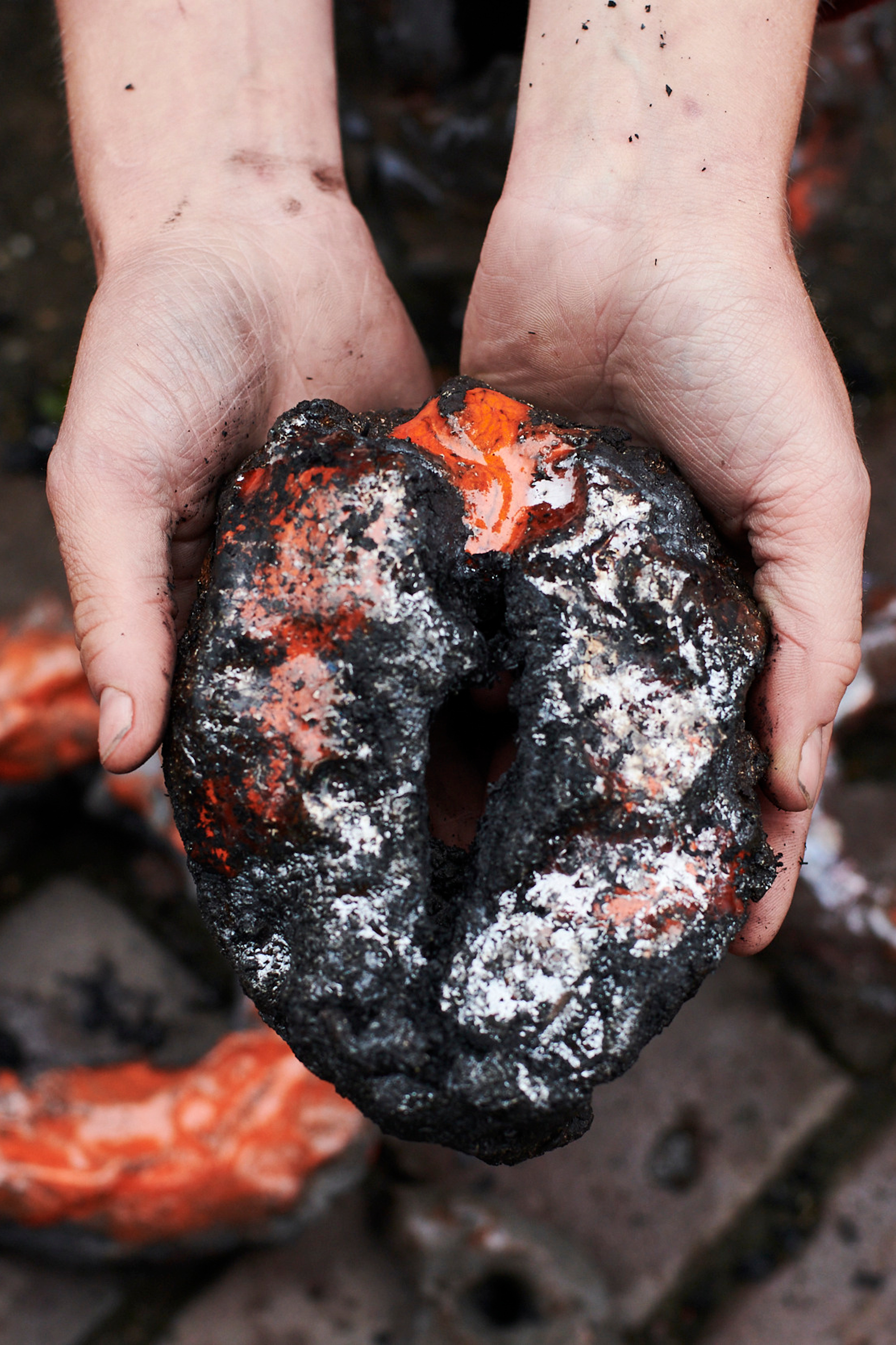 Dutch Artist Ruchama Noorda