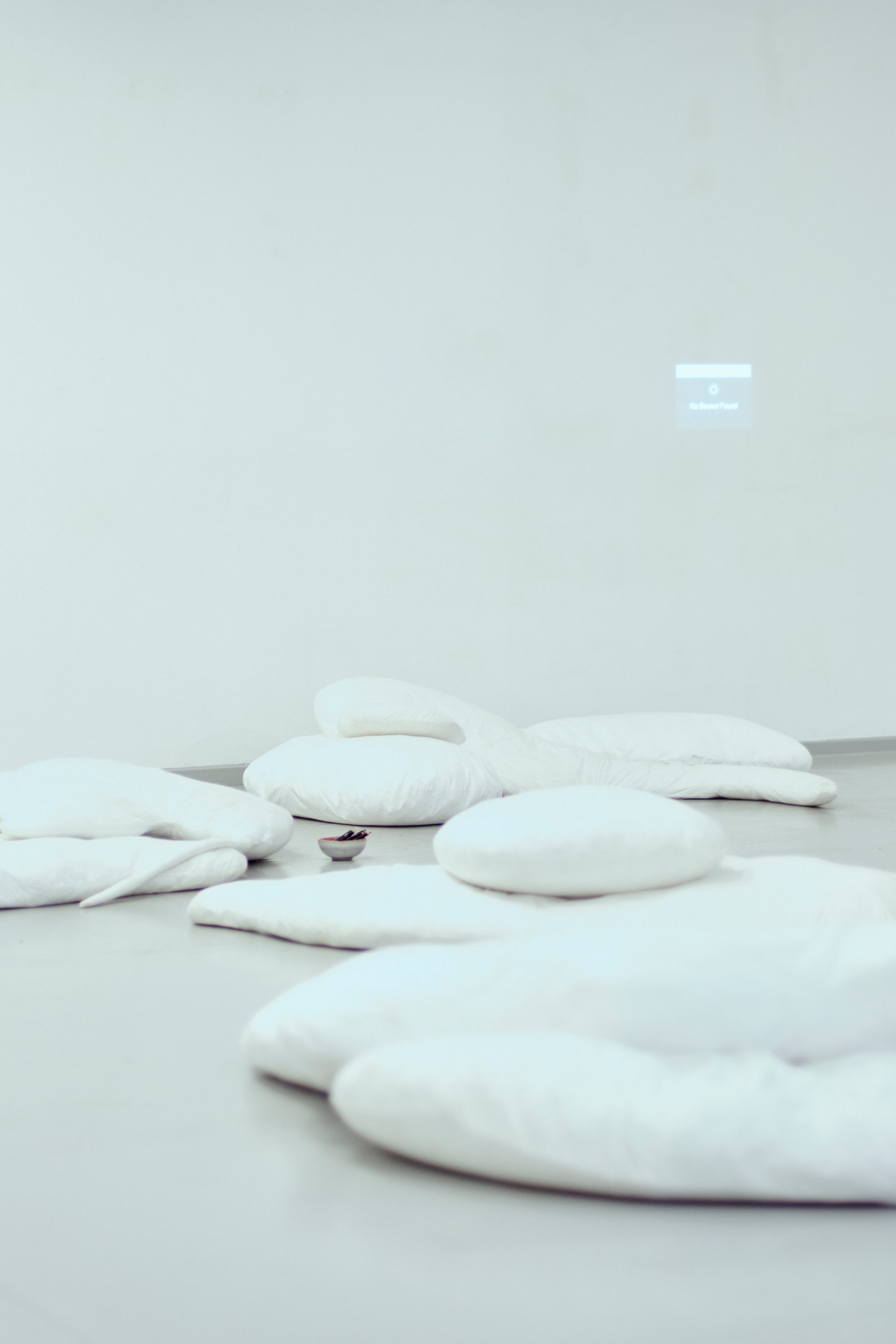 Day Collective Amsterdam