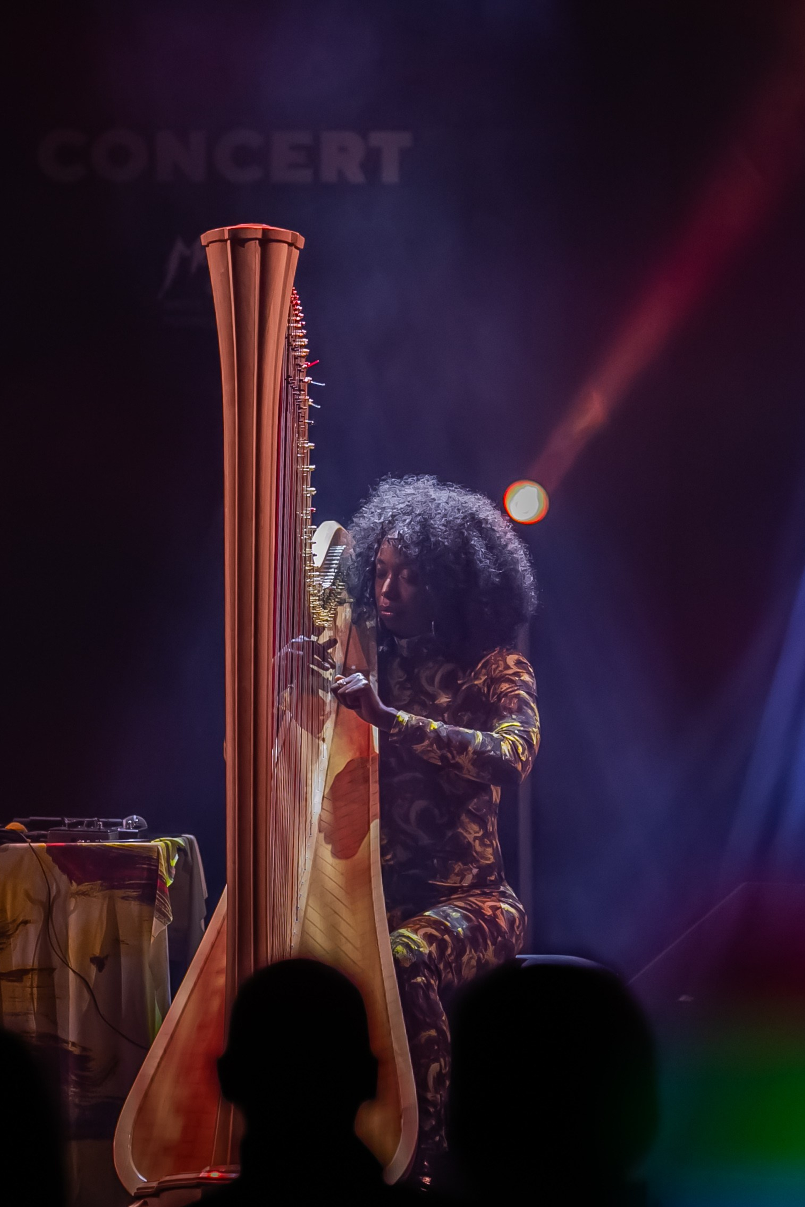 Announcements. Portret photographer in Switzerland Artur Magpie