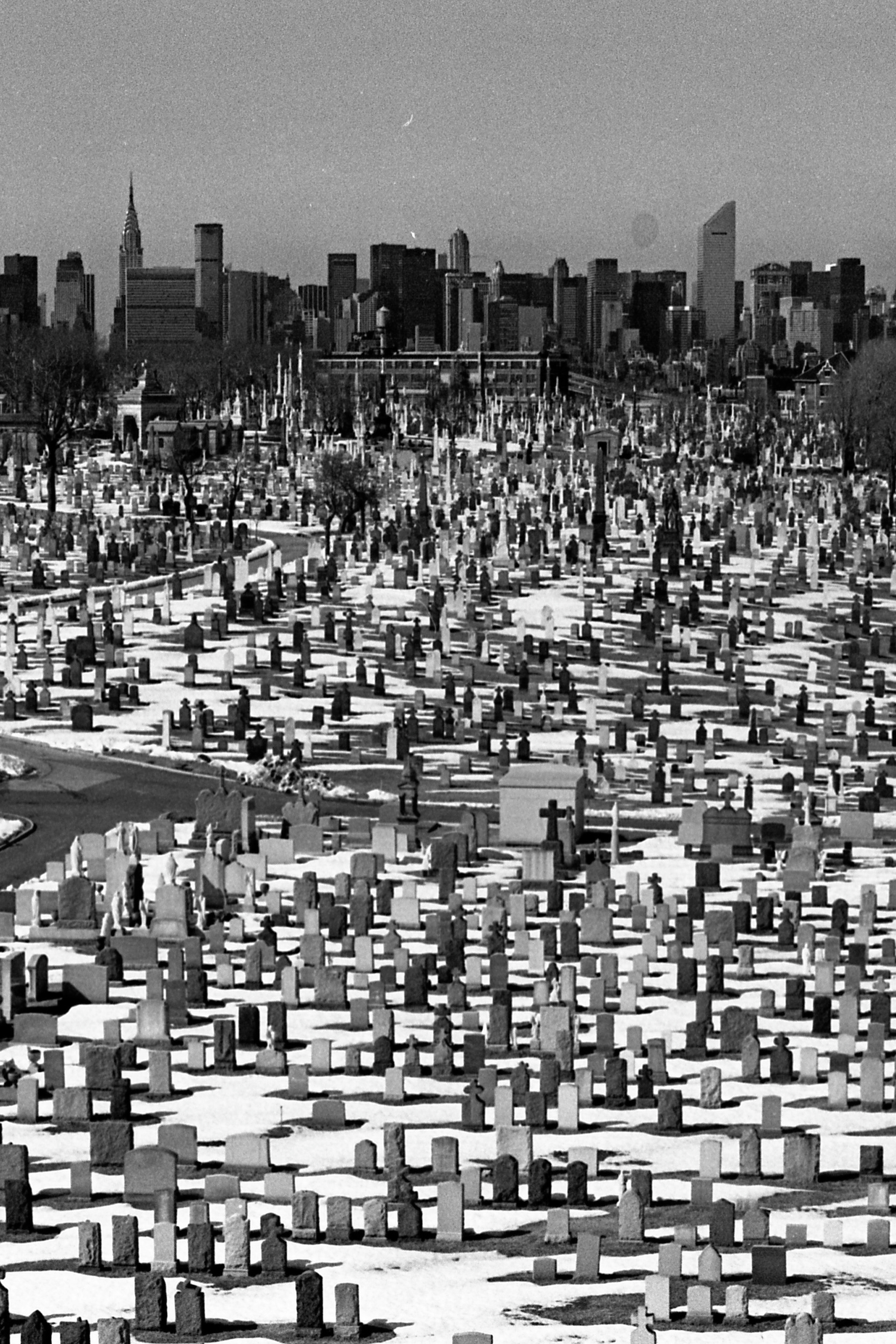 Nowy Jork 1982 -1984