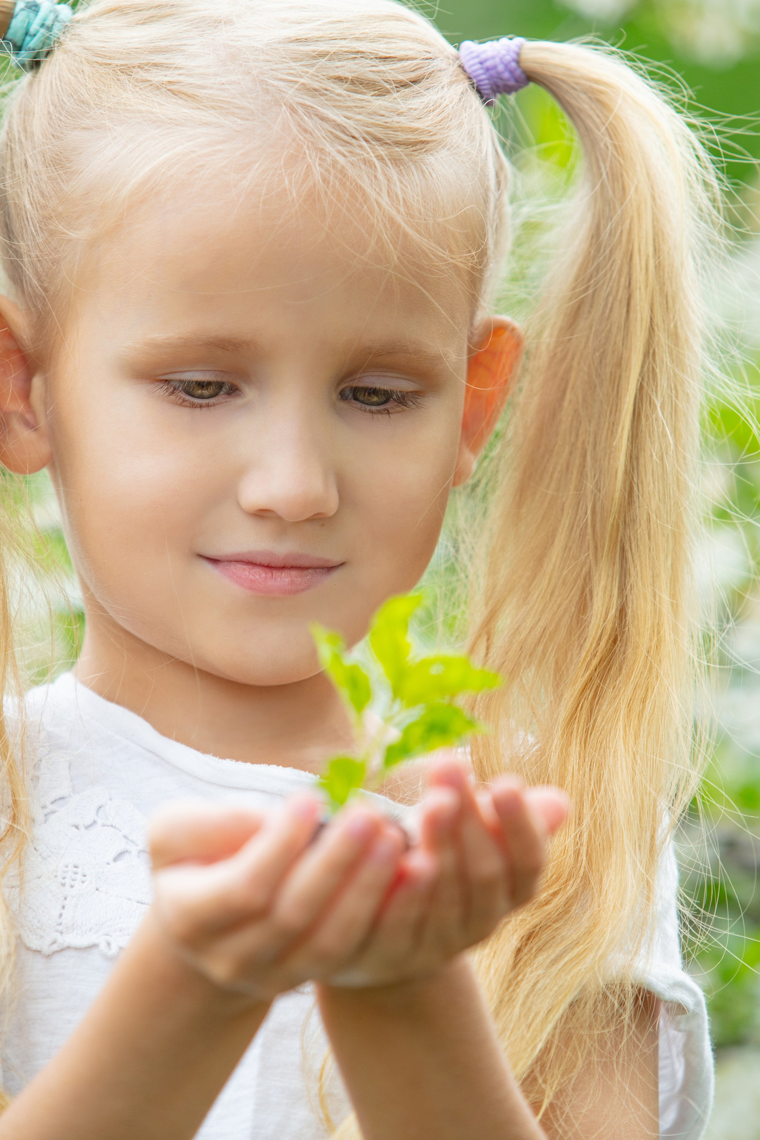 Inspiration estivale. Photographe professionnelle de la ville d’Auxerre - Ekaterina Mathieu