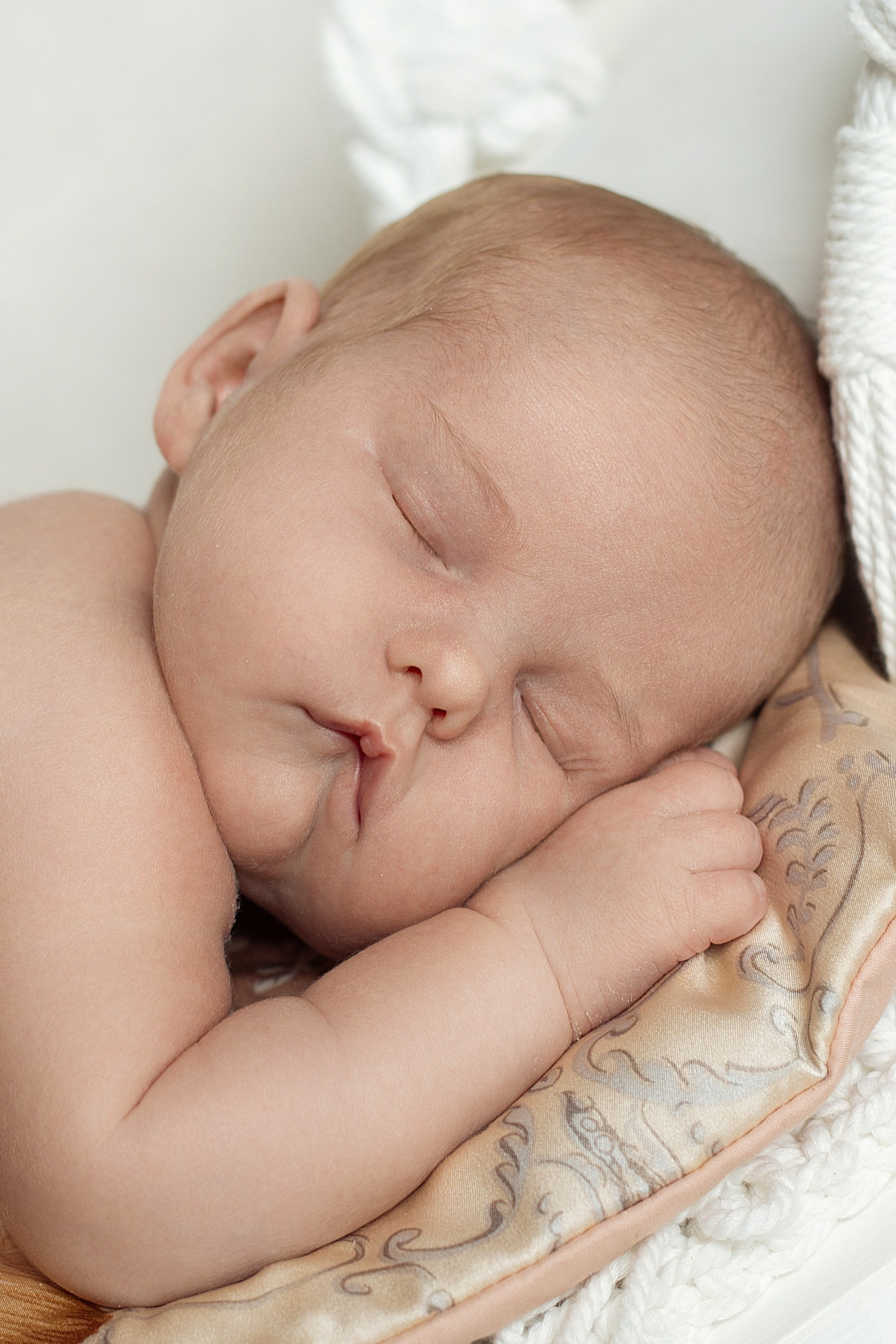 Victoire. Photographe professionnelle de la ville d’Auxerre - Ekaterina Mathieu