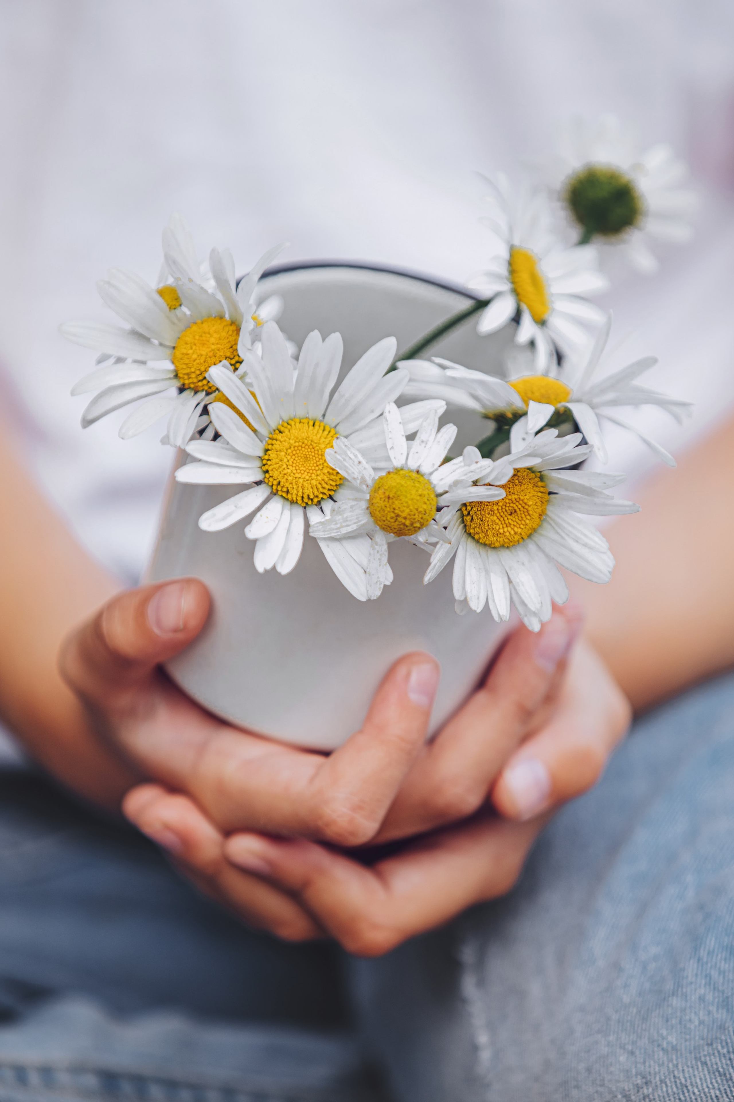 Inspiration estivale. Photographe professionnelle de la ville d’Auxerre - Ekaterina Mathieu