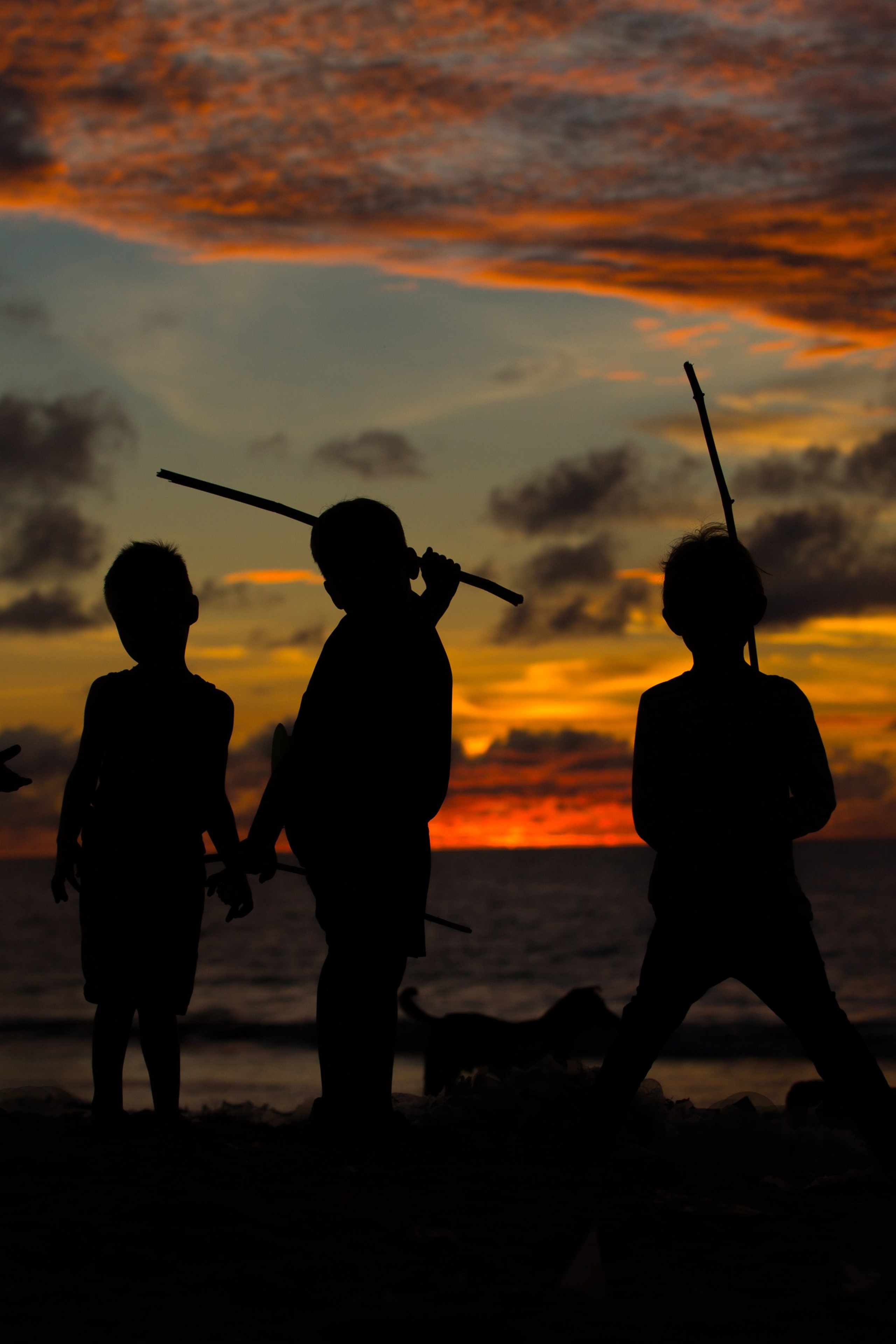 Jeux au coucher du soleil. Photographe professionnelle de la ville d’Auxerre - Ekaterina Mathieu