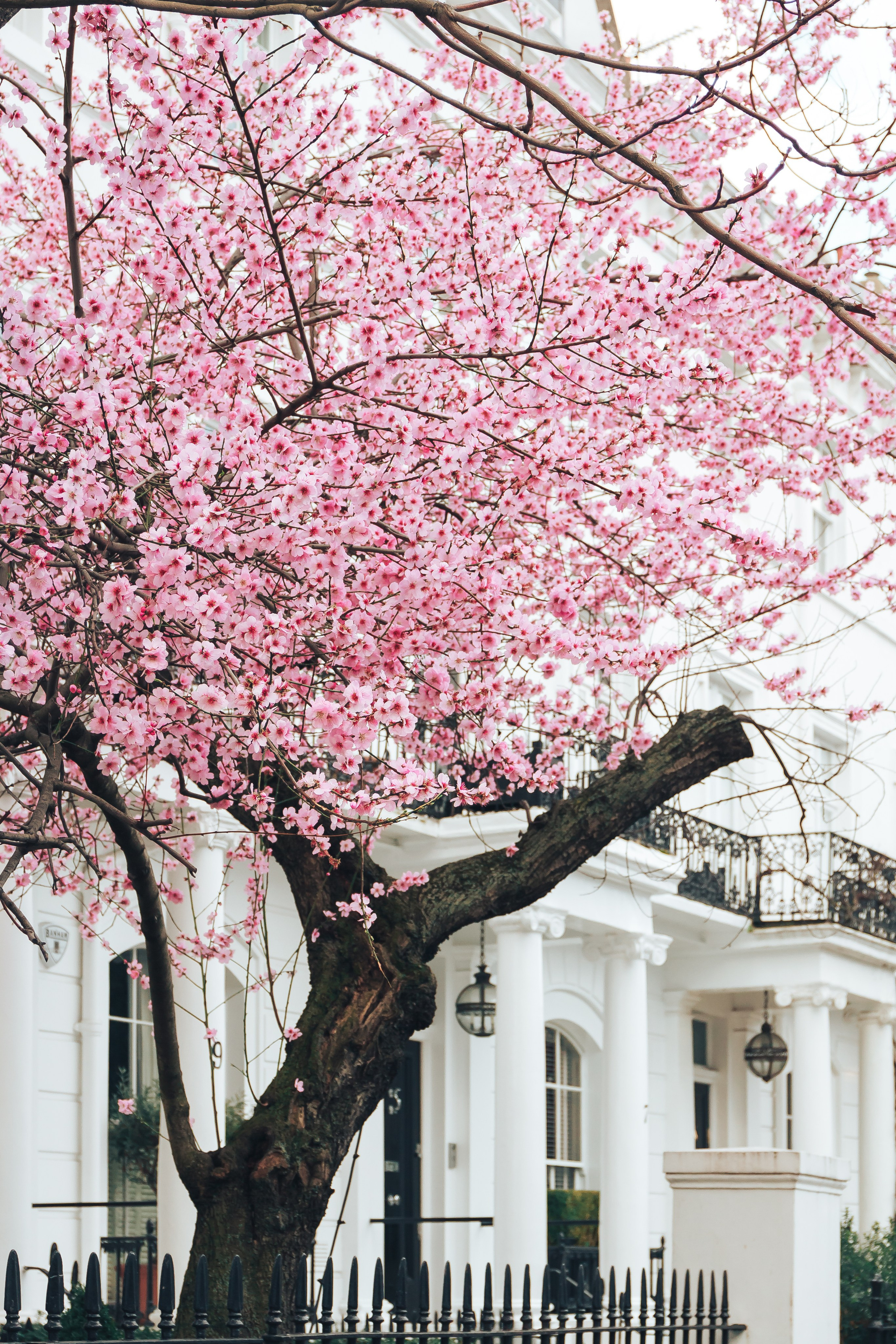 Lena Geary Photography