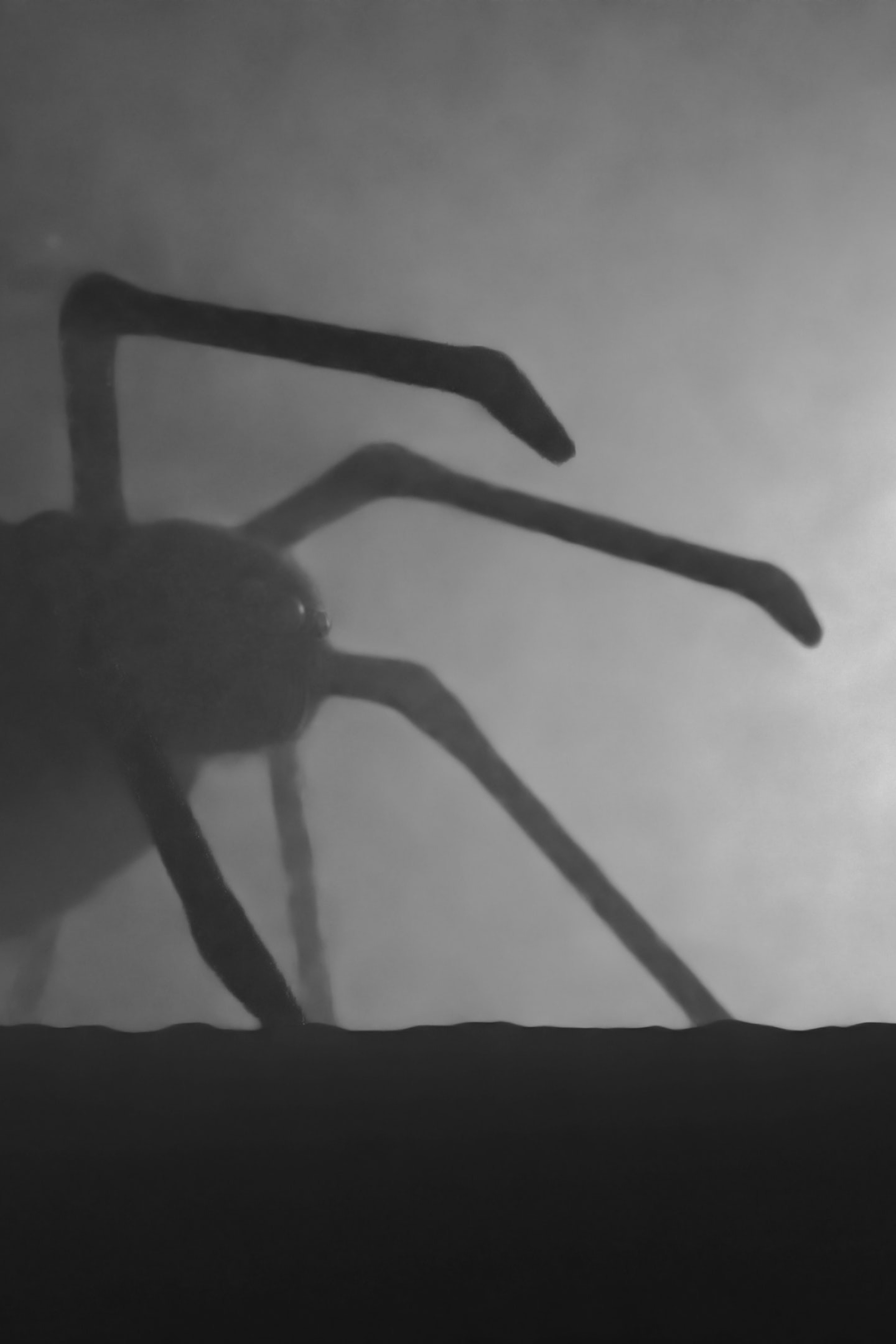 Hledáme silné vůdce, aneb bacha na manipulátory. Dana Lišková — Empatická fotografka | Introspektivní umělkyně | Neurodivergentní koučka| Zakladatelka Artepy.cz