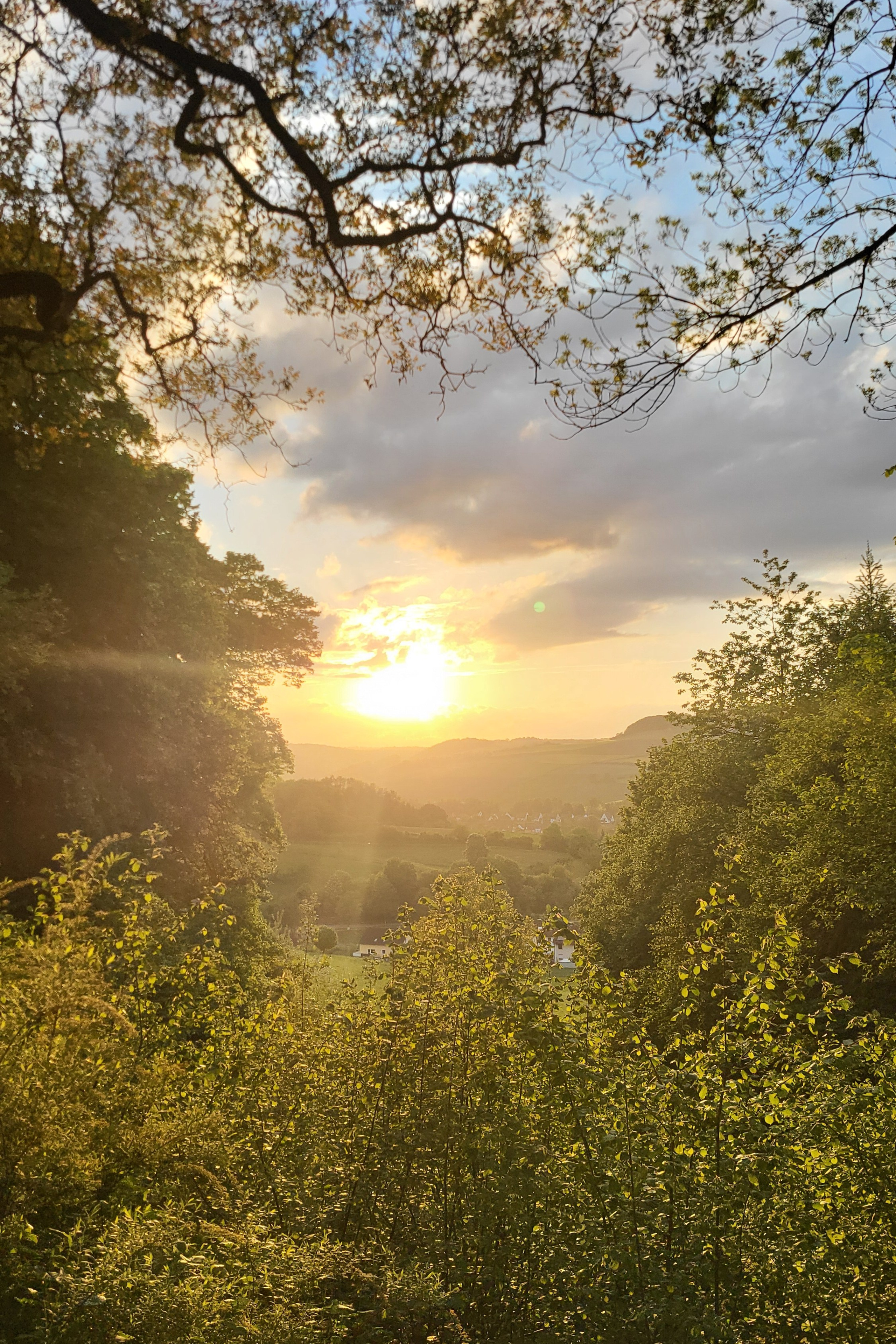 Fotoshooting in der Natur. Schwarz-weiß Fotografie in Münster. Fotografin Viktoria Roschen