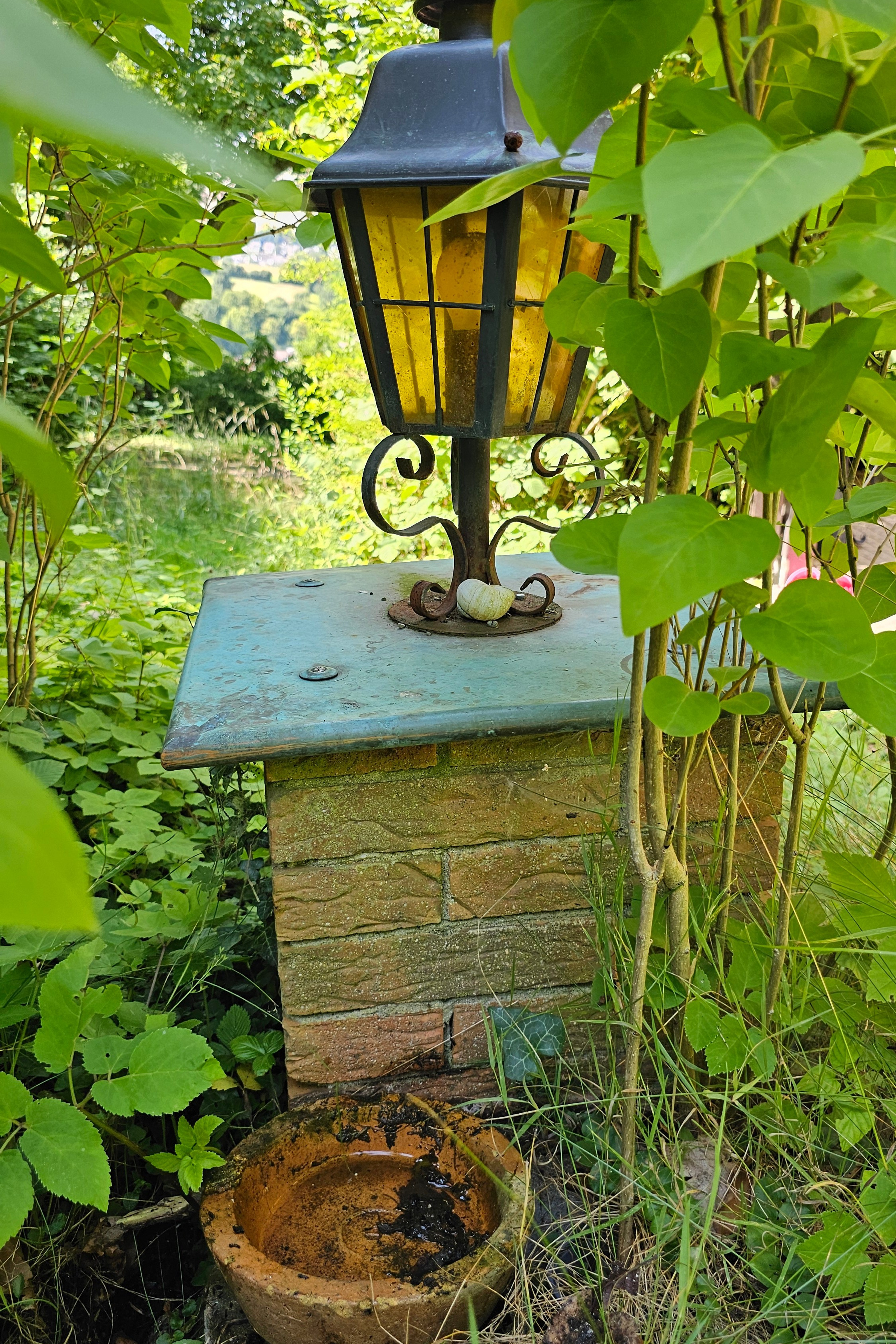 Fotoshooting in der Natur. Schwarz-weiß Fotografie in Münster. Fotografin Viktoria Roschen