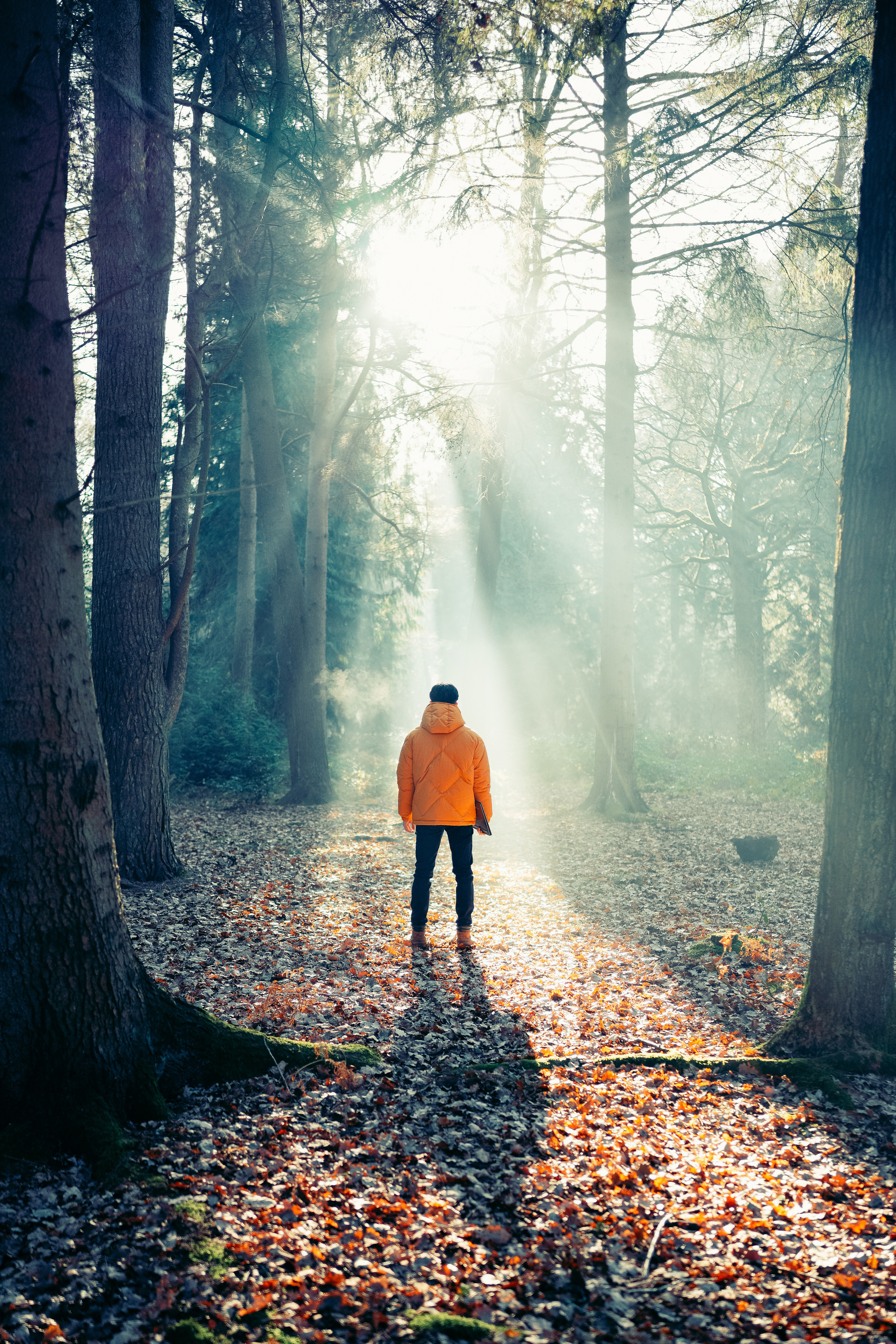 Newborn photo shoot in Solihull. Creative Family, Brand, Boudoir and Wedding Photographer in Solihull & Birmingham Irina Zoteeva