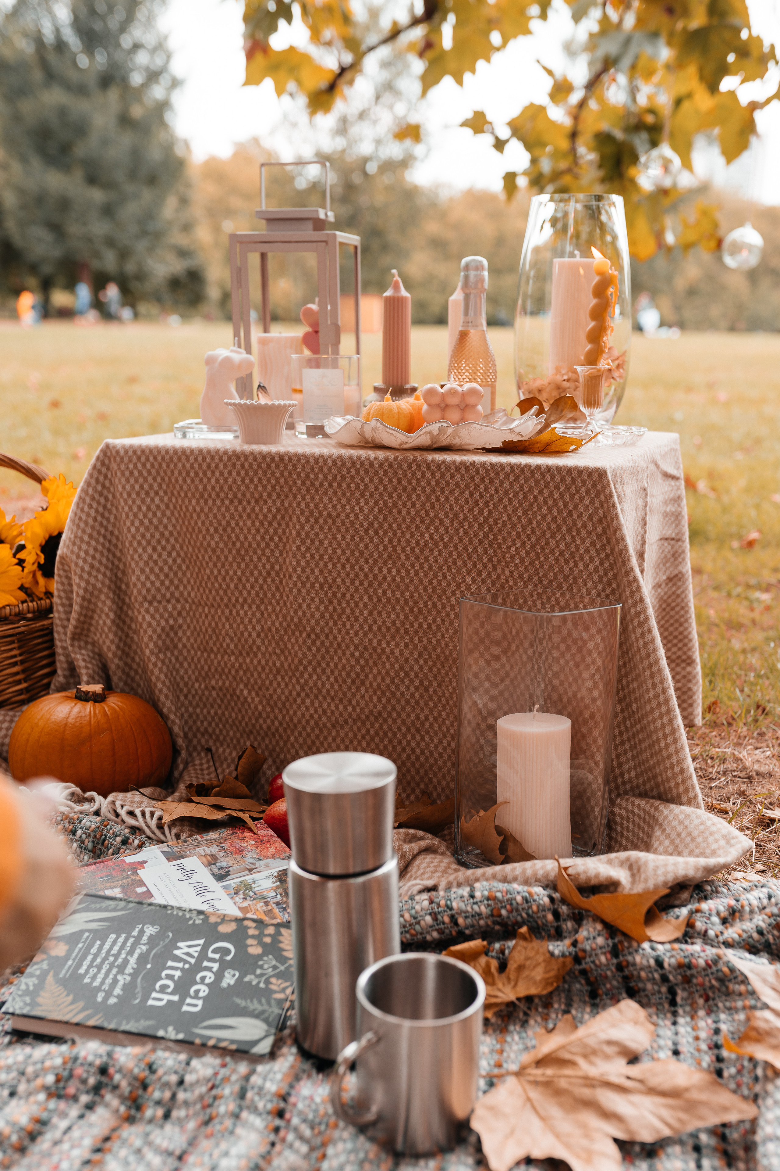 Wedding Photographer in England. Photographer in England Ekaterina Romanova