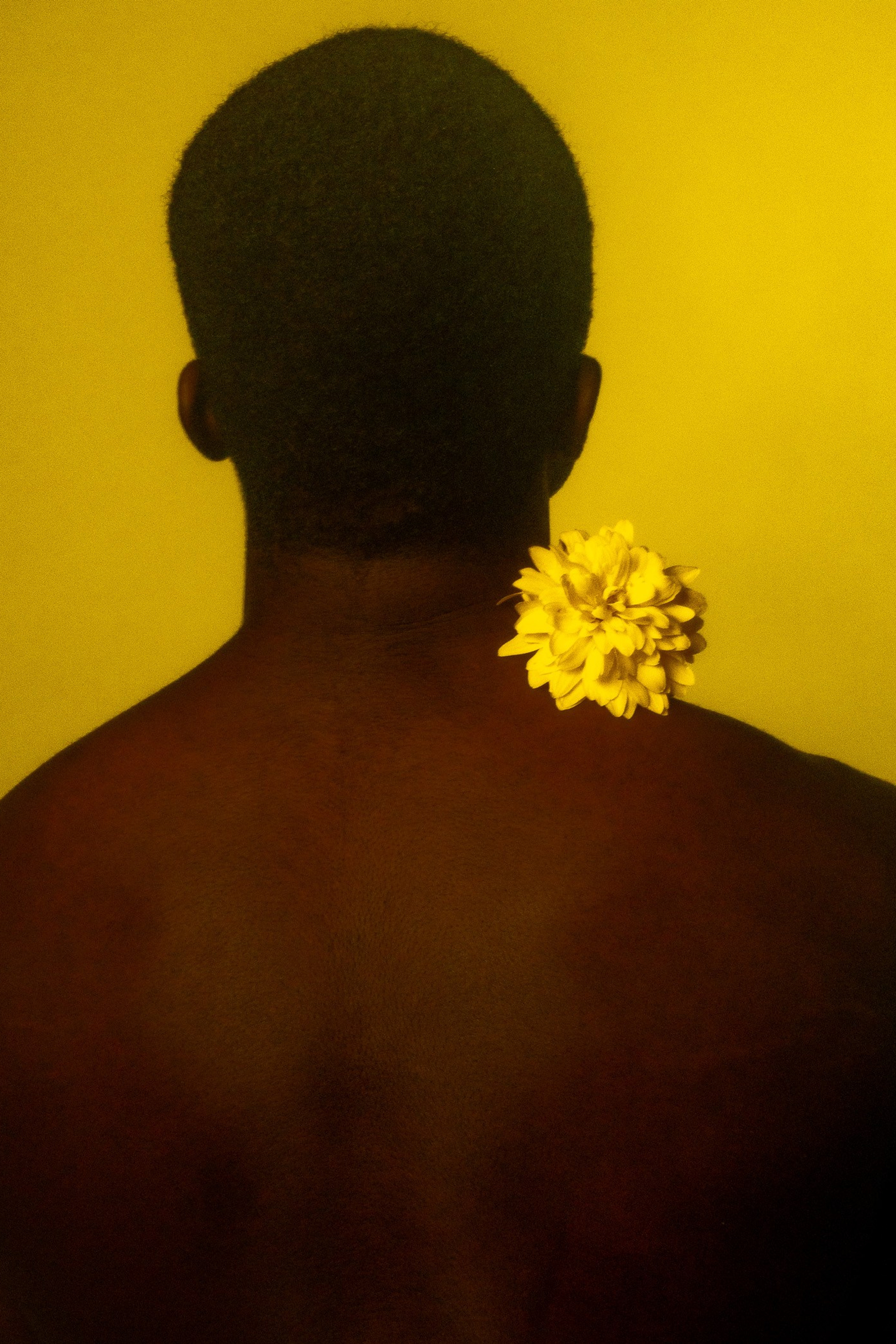 In the Shadows of Elegance – Fotokollektion om Identitet och Sårbarhet</title>