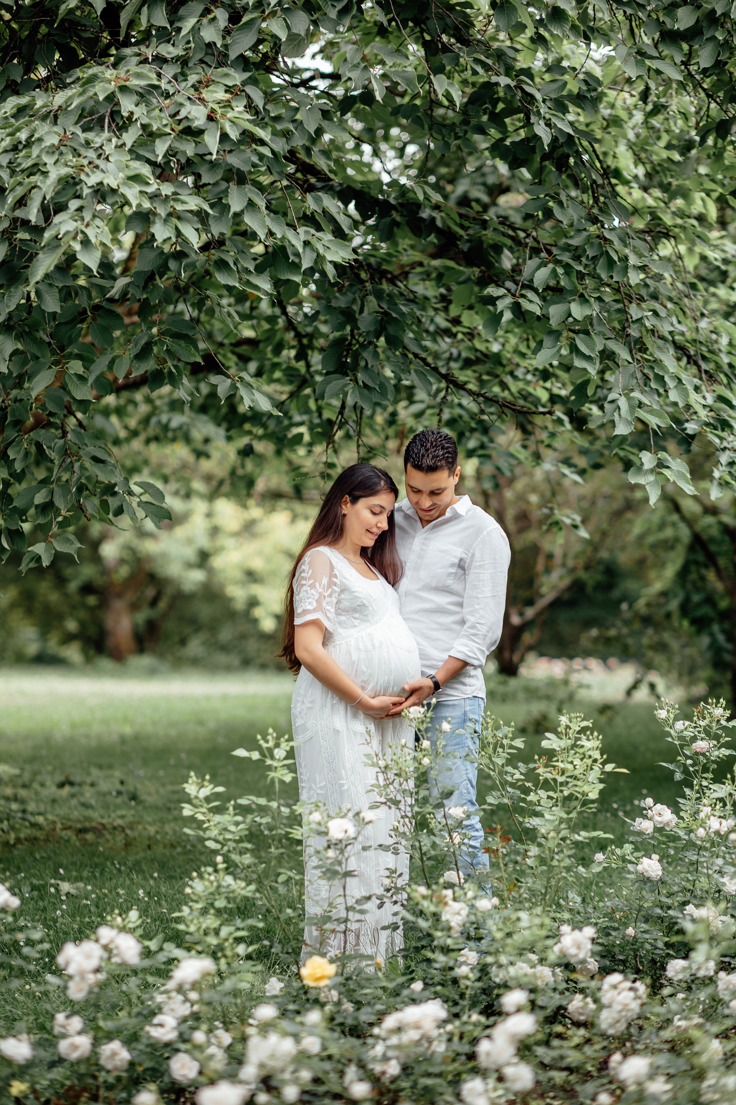 Honey camomile. Фотограф в Мюнхене Анастасия Воробцова