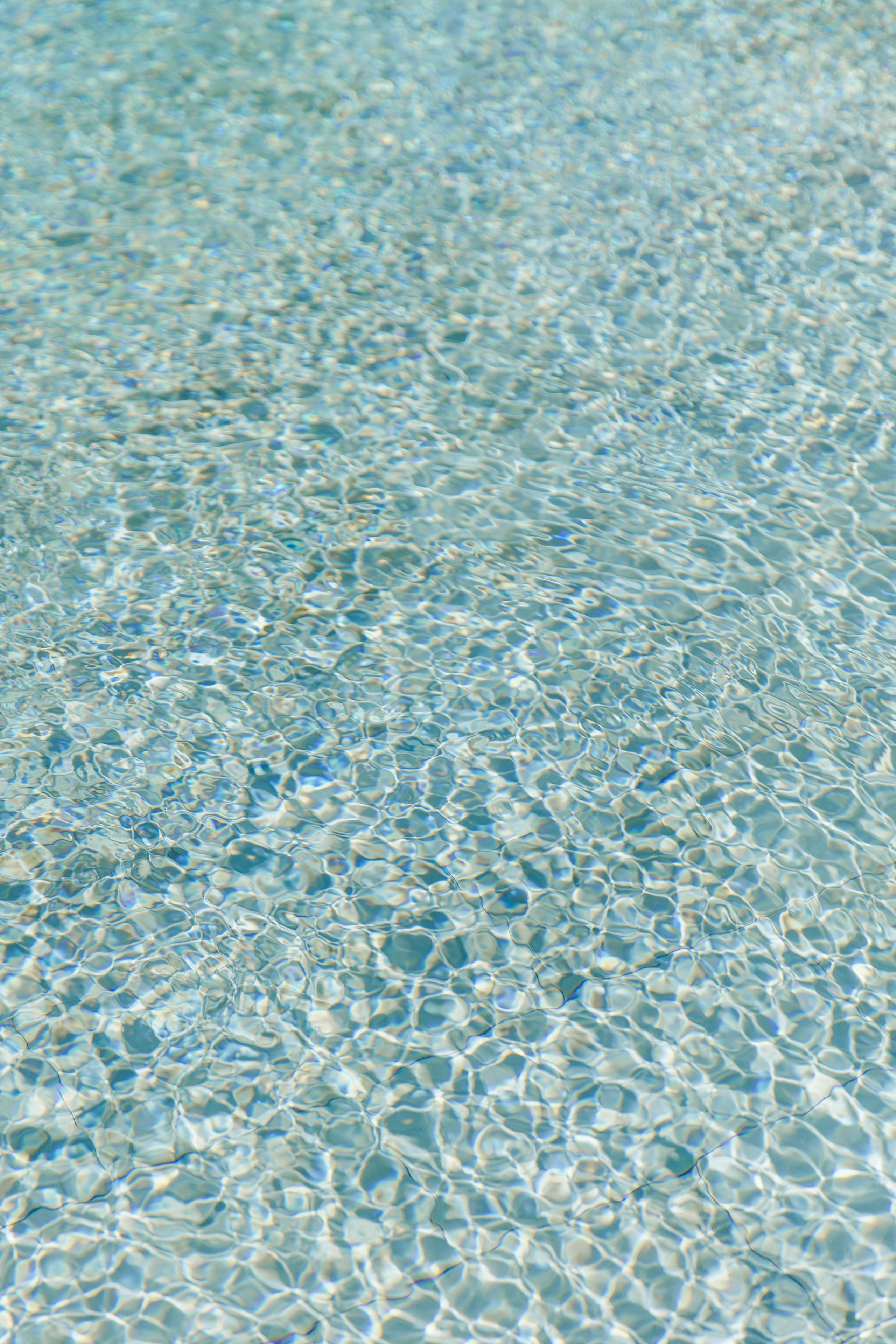 Reflections of the swimming pool. 